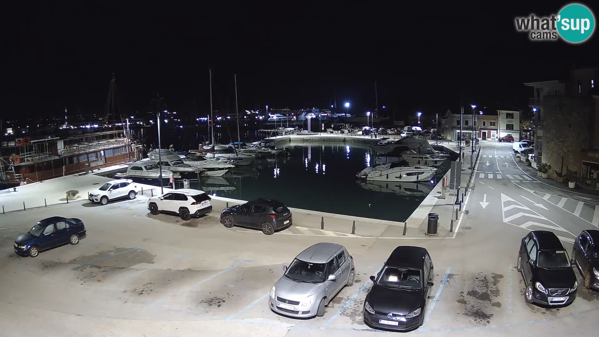 Novigrad | Porporela marina
