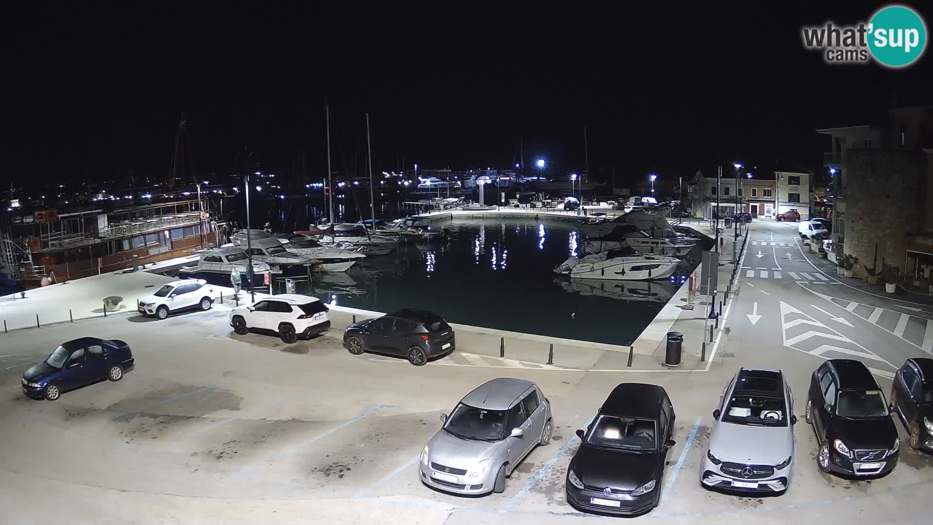 Novigrad | Porporela marina
