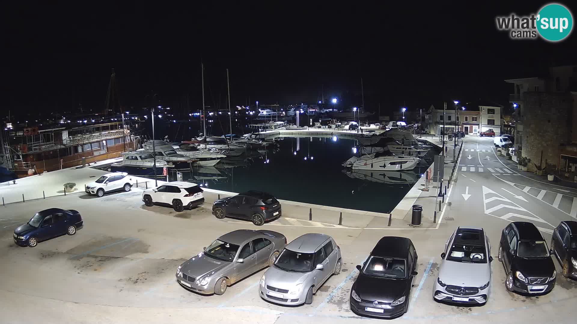 Novigrad | Porporela marina