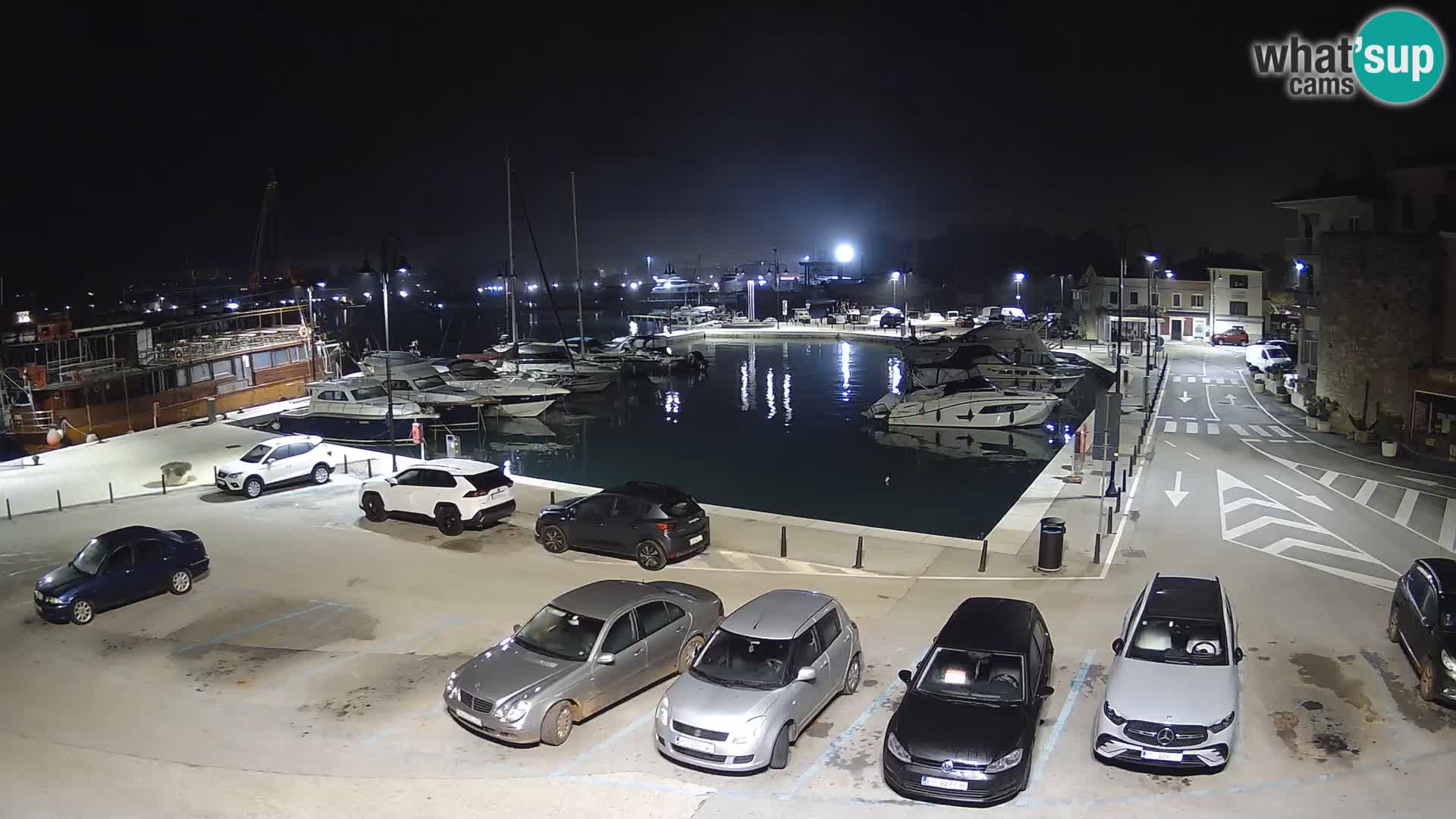 Novigrad | Porporela marina