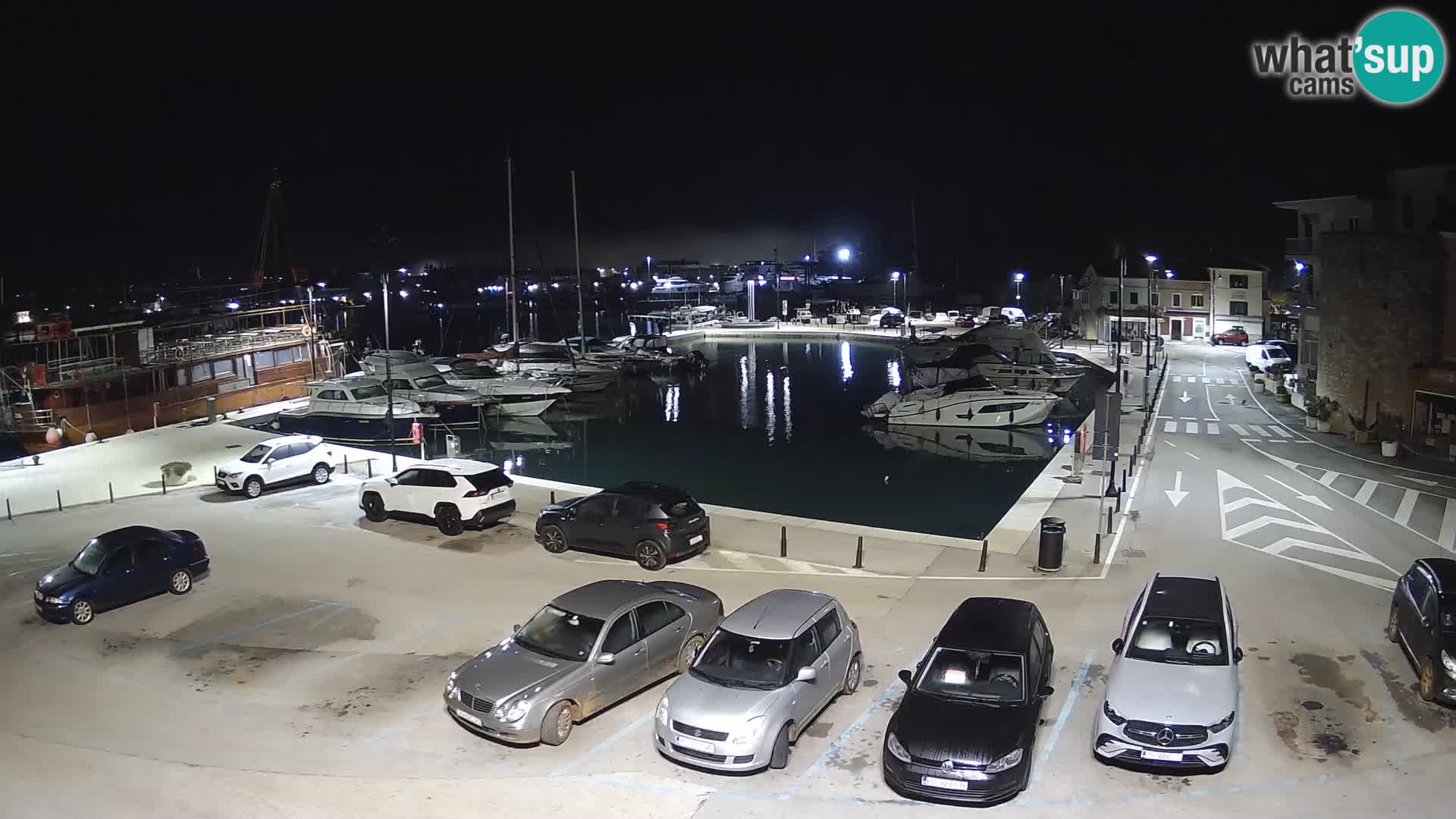 Novigrad | Porporela marina