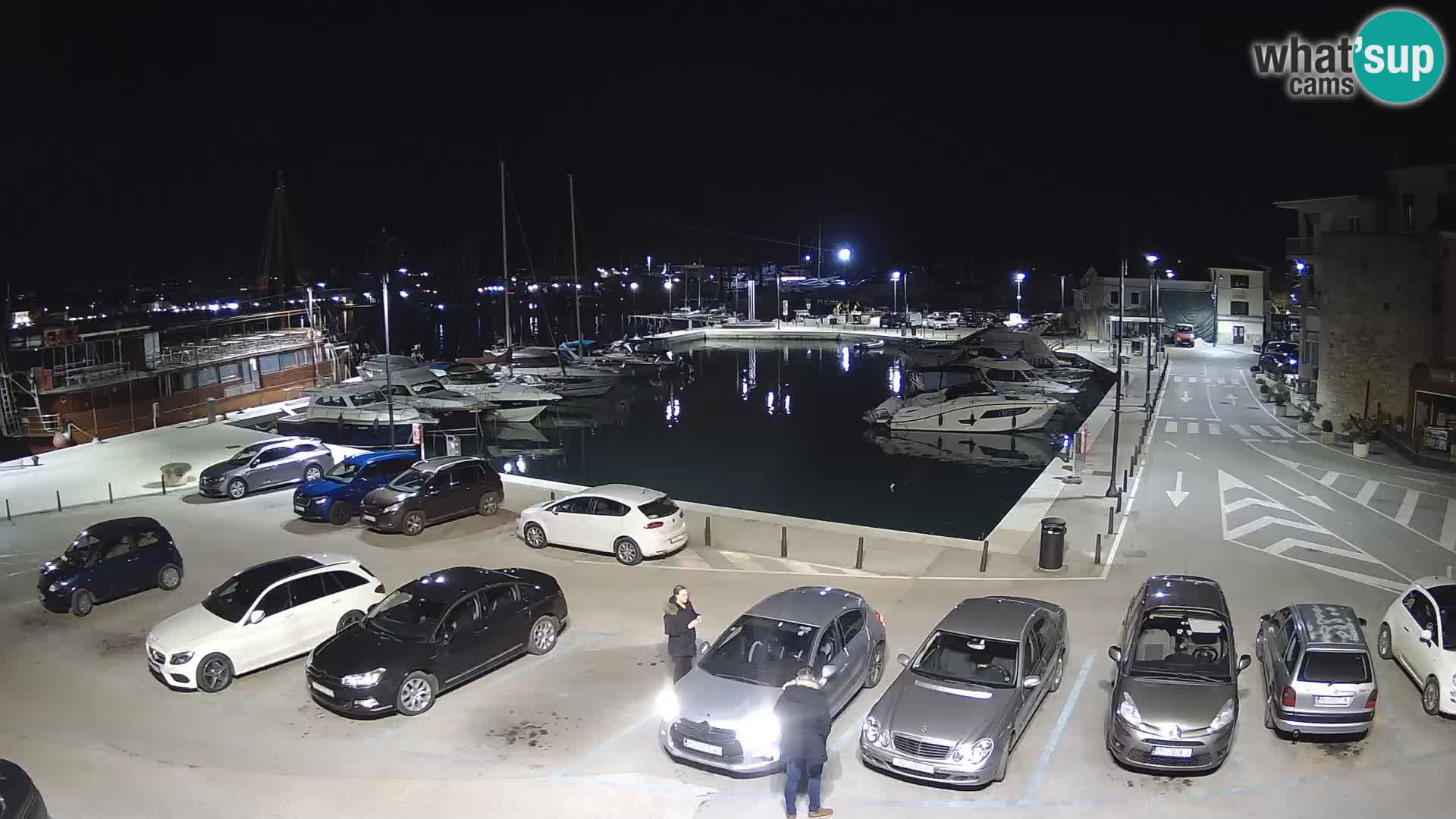 Novigrad | Porporela marina