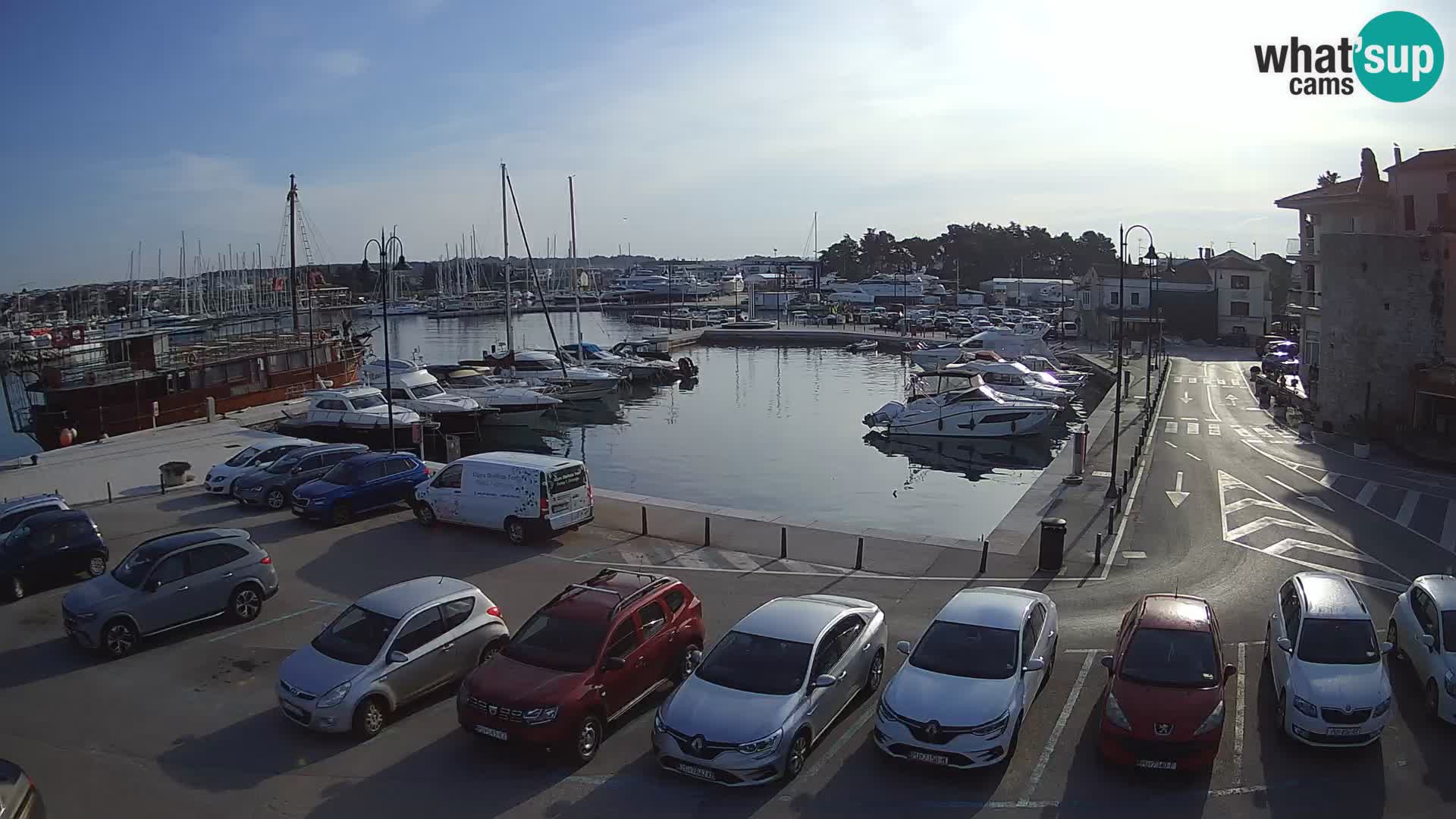 Novigrad | Porporela marina