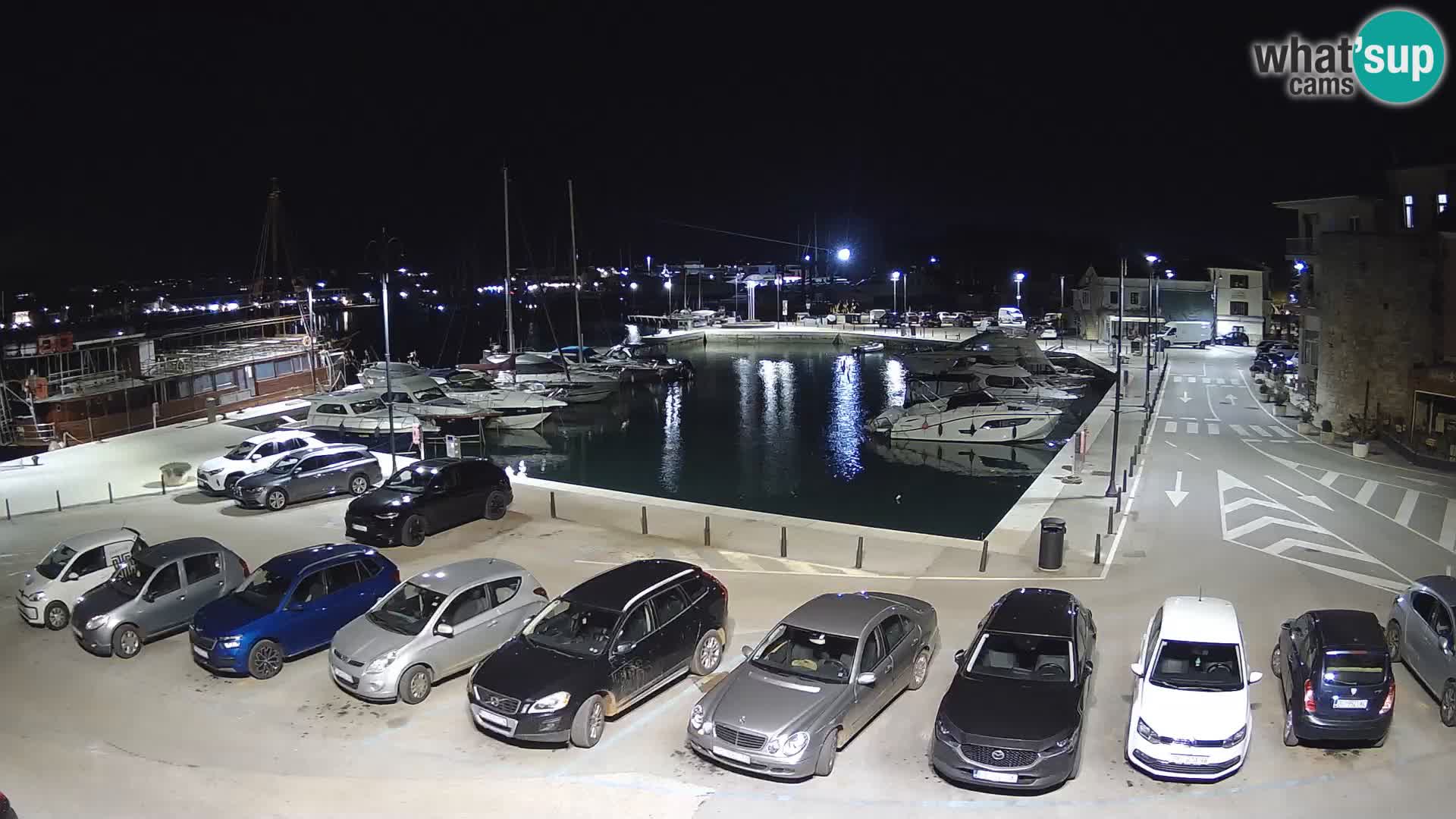 Novigrad | Porporela marina
