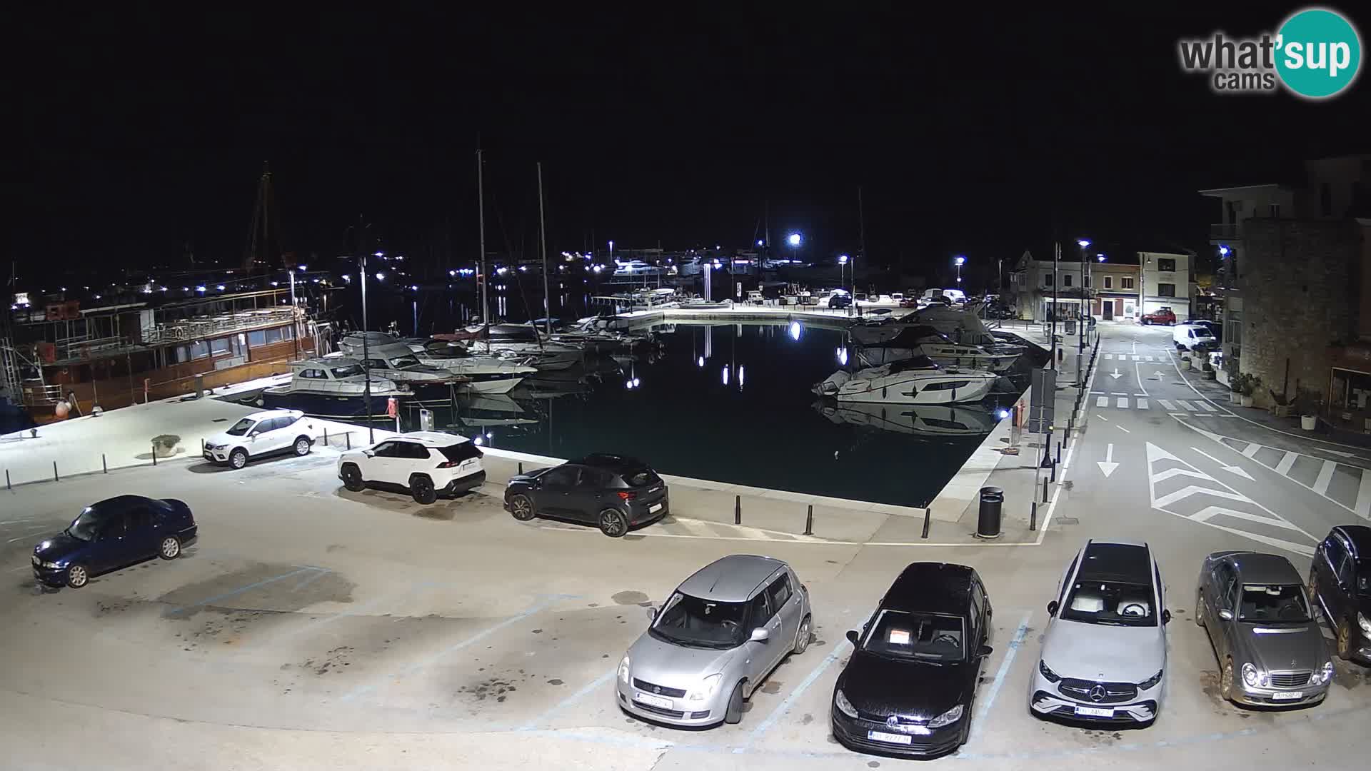 Novigrad | Porporela marina