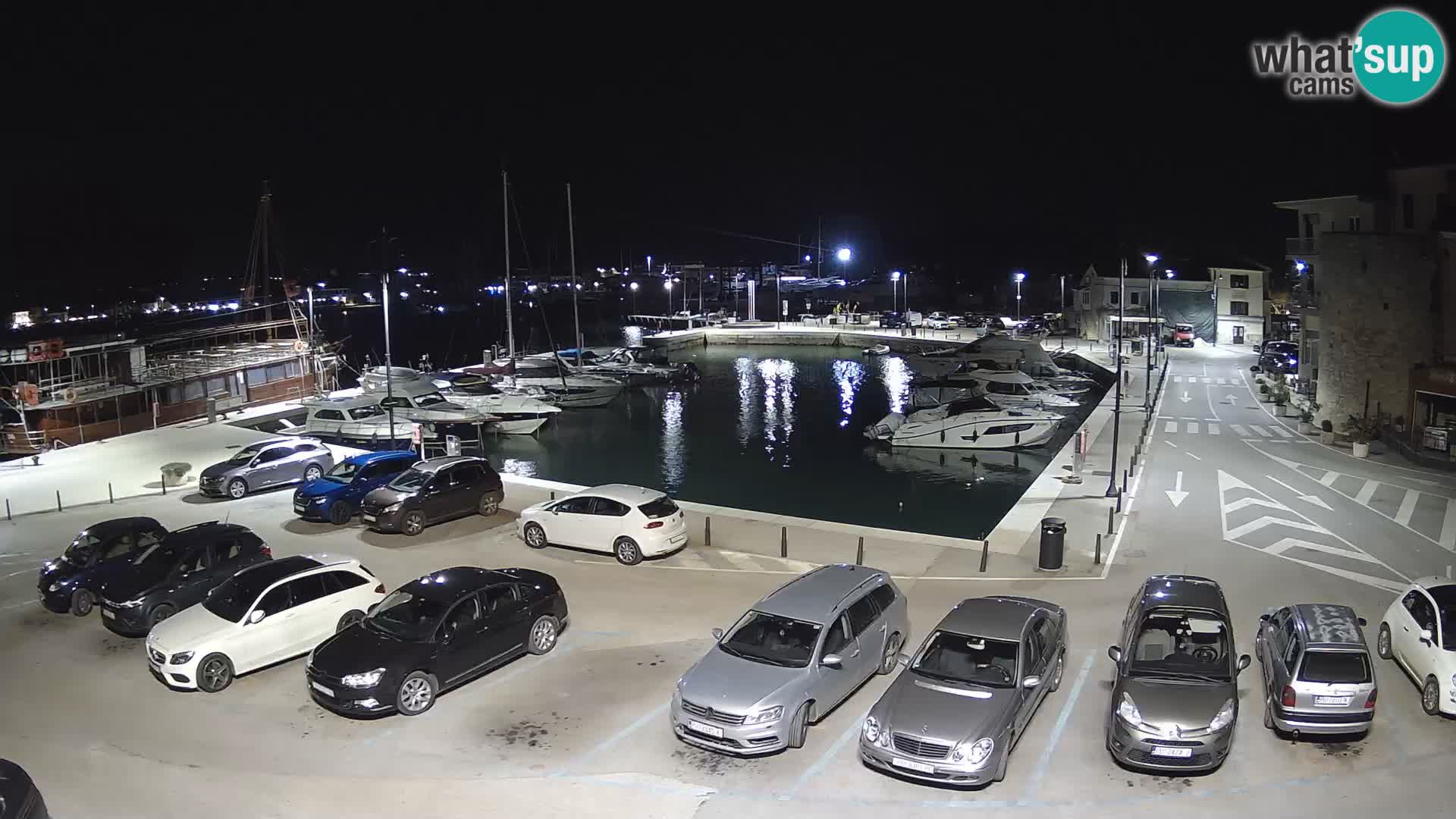 Novigrad | Porporela marina