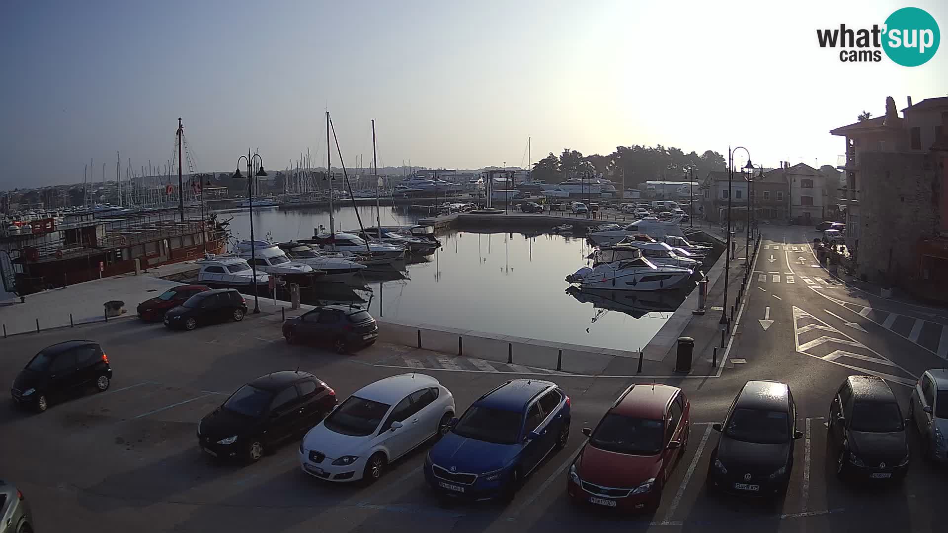 Novigrad | Porporela marina