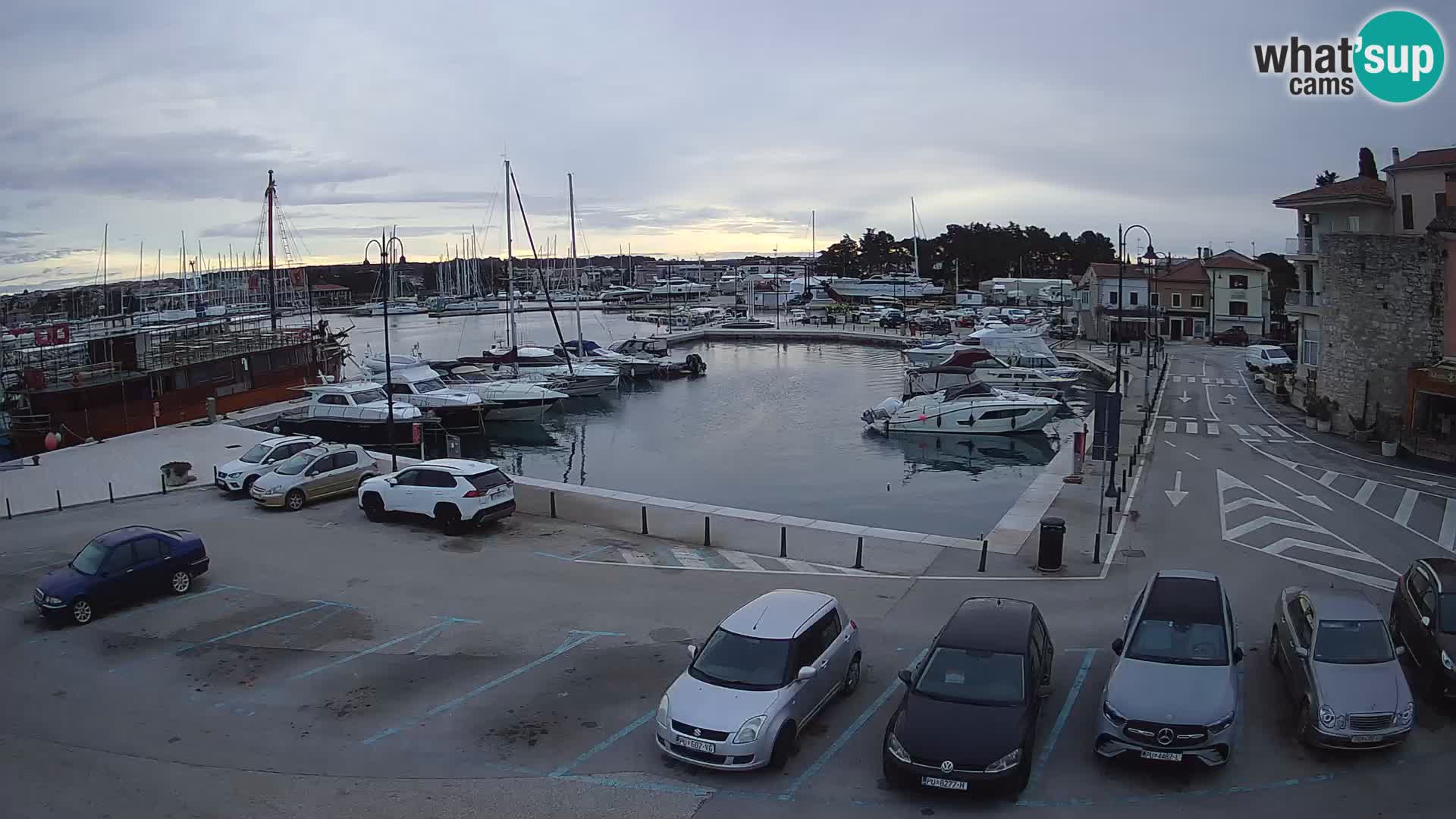 Novigrad | Porporela marina