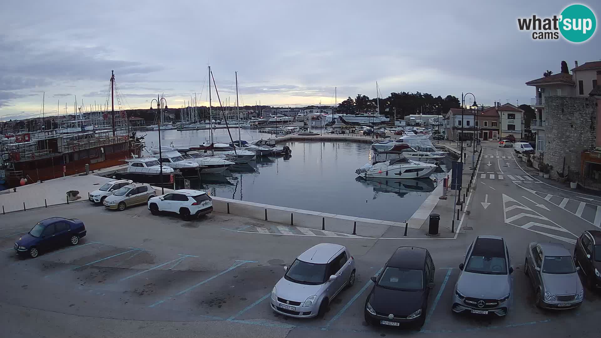 Novigrad | Porporela marina