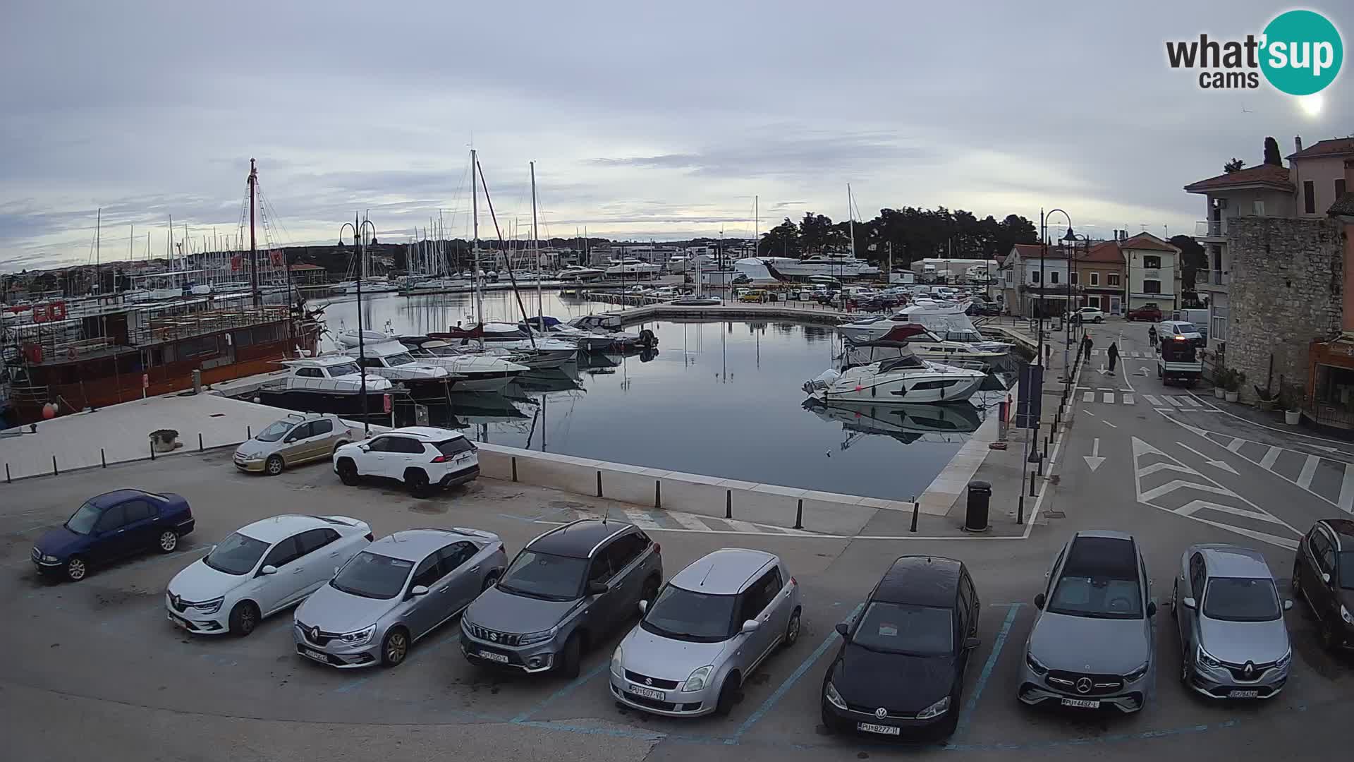 Novigrad | Porporela marina