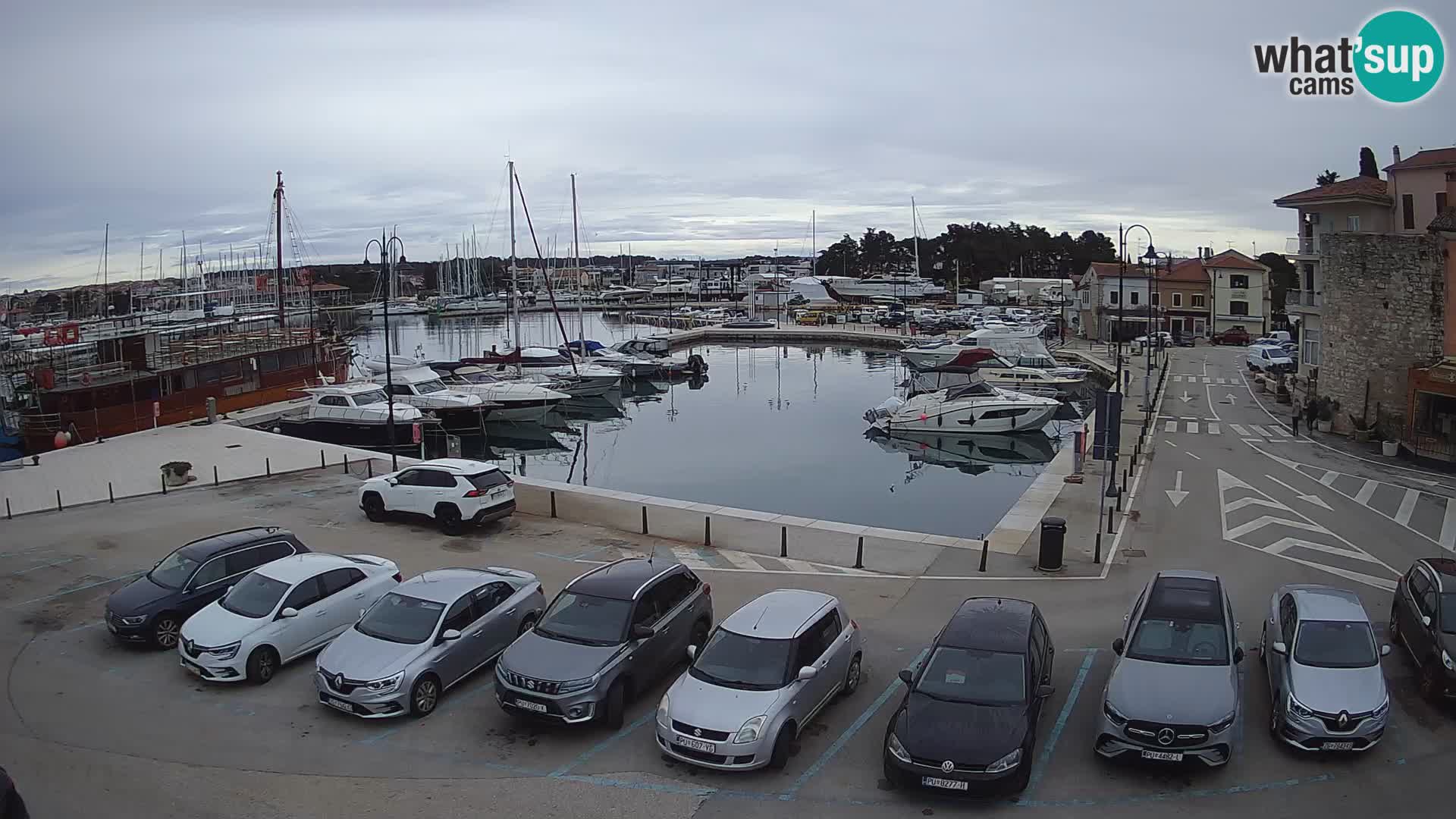 Novigrad | Porporela marina