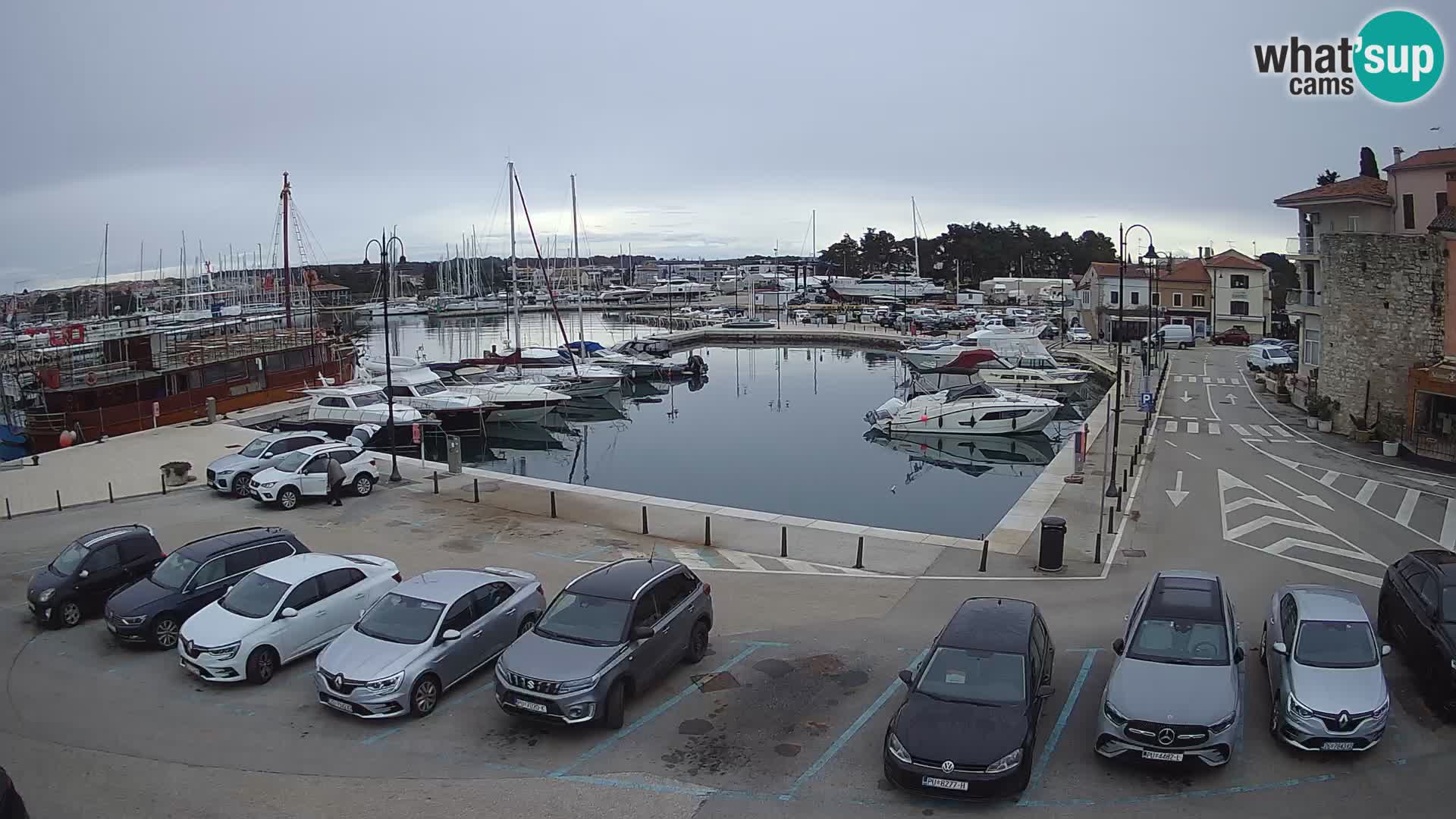 Novigrad | Porporela marina