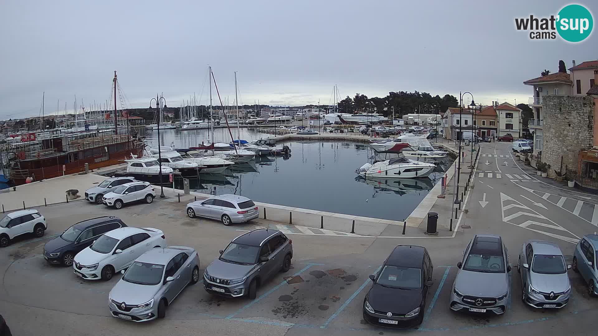 Novigrad | Porporela marina