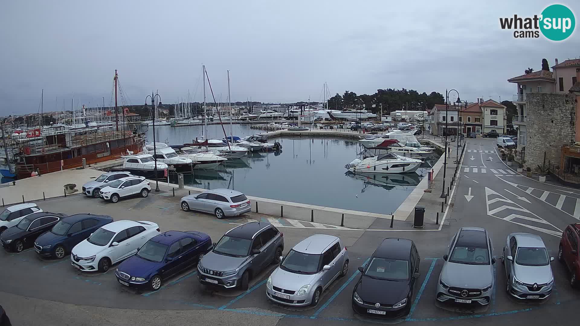 Novigrad | Porporela marina