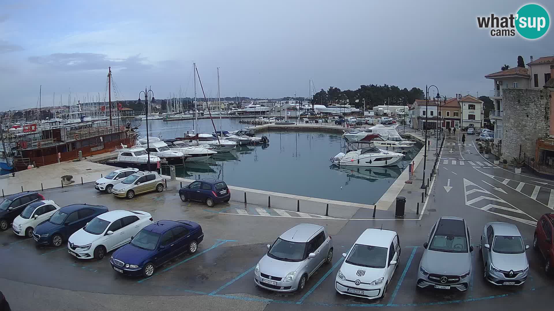 Novigrad | Porporela marina