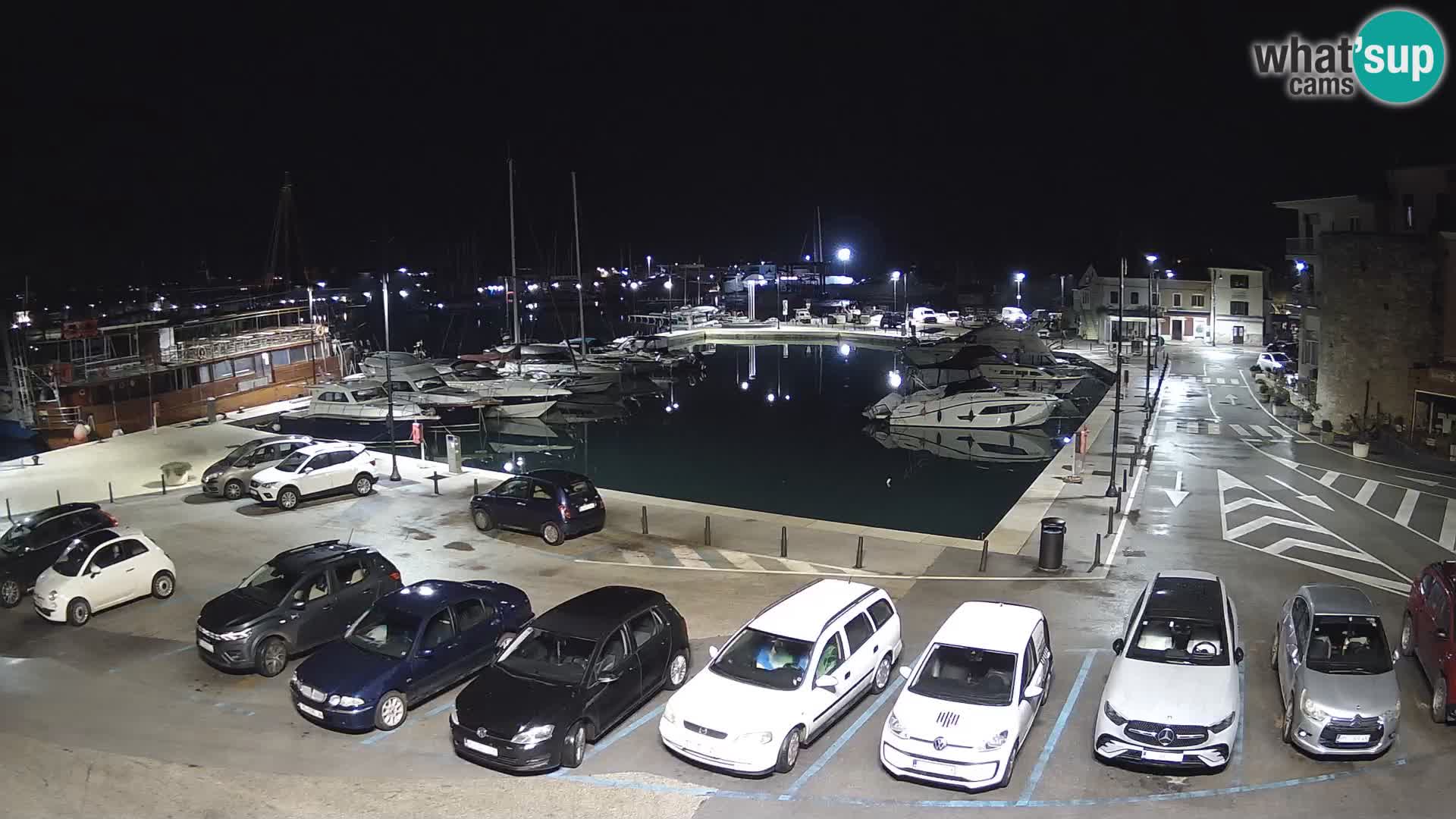 Novigrad | Porporela marina