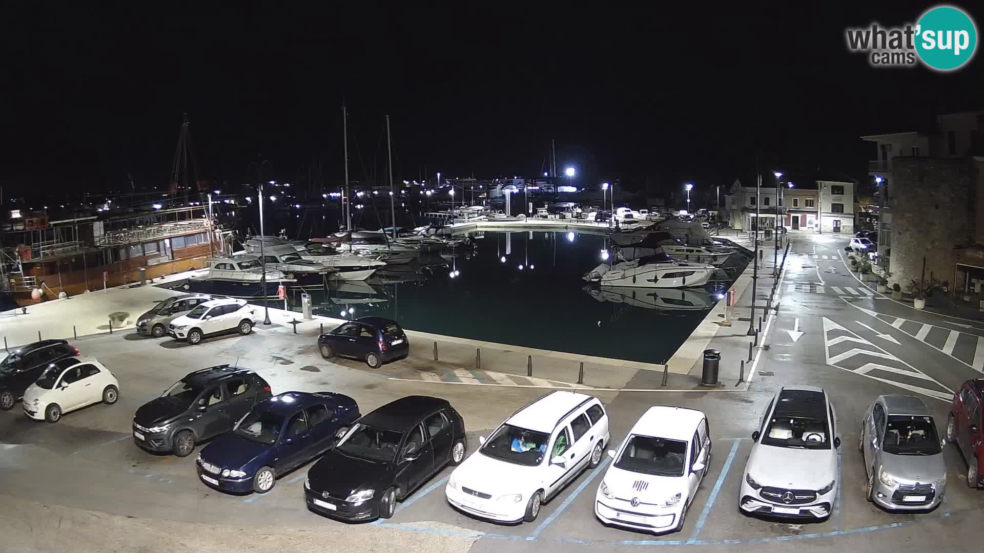 Novigrad | Porporela marina