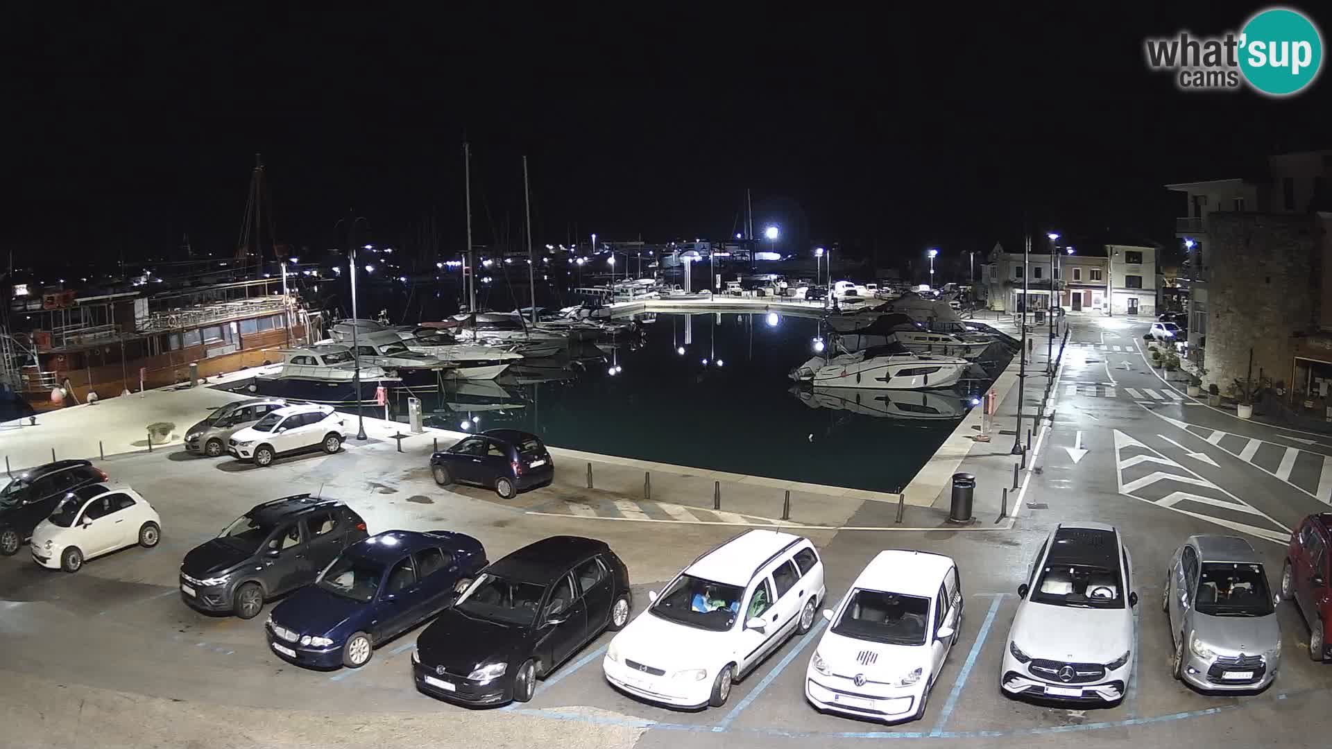 Novigrad | Porporela marina