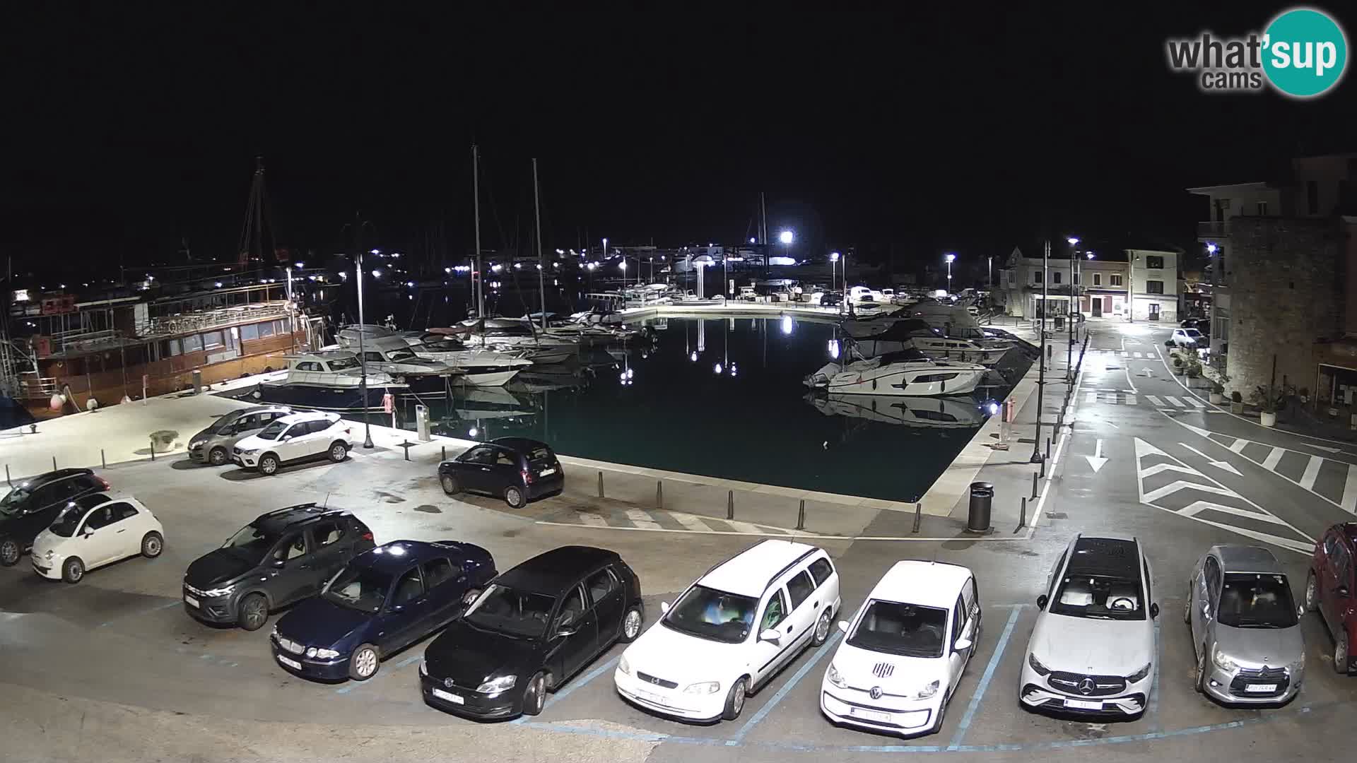 Novigrad | Porporela marina