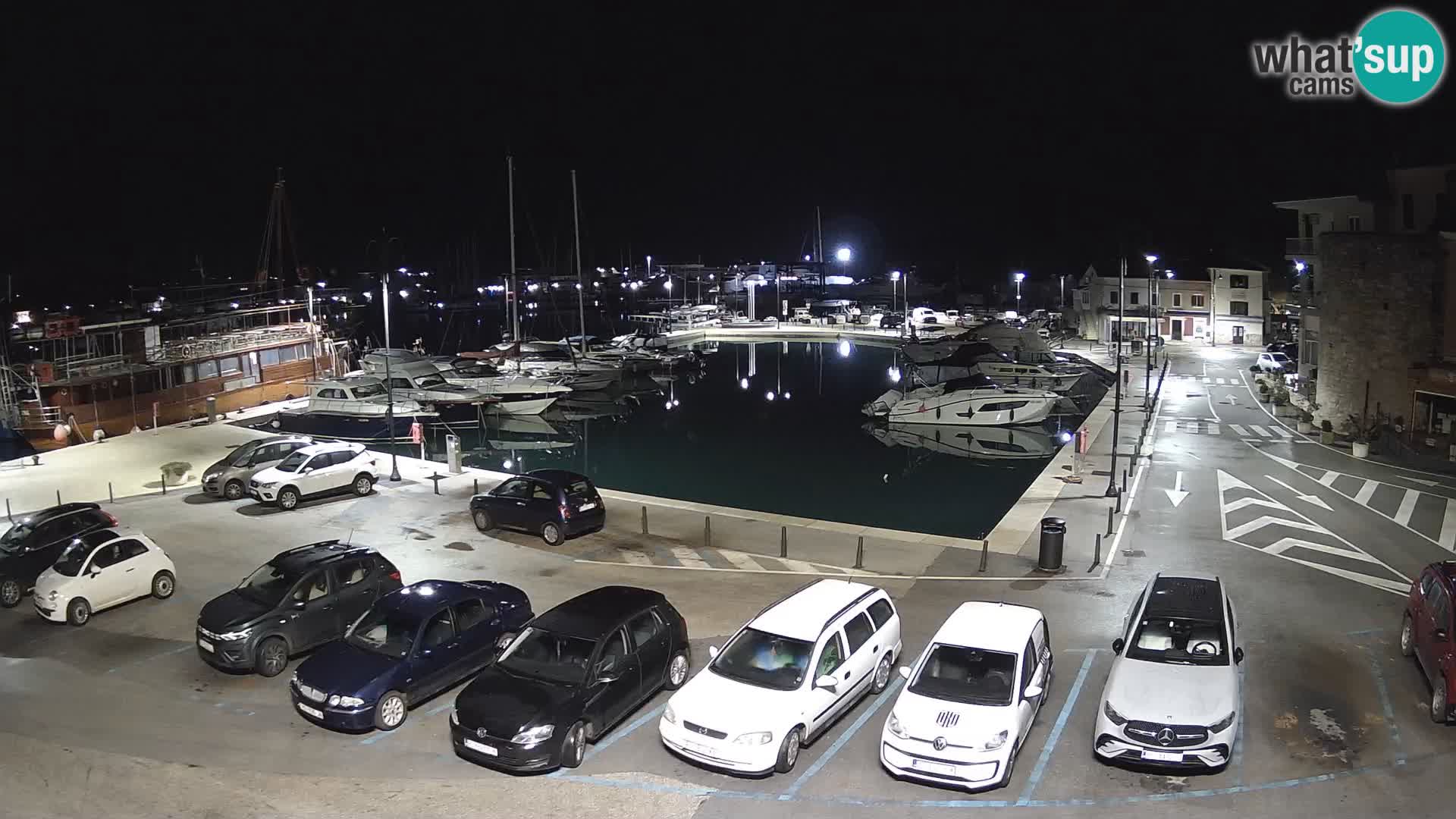 Novigrad | Porporela marina