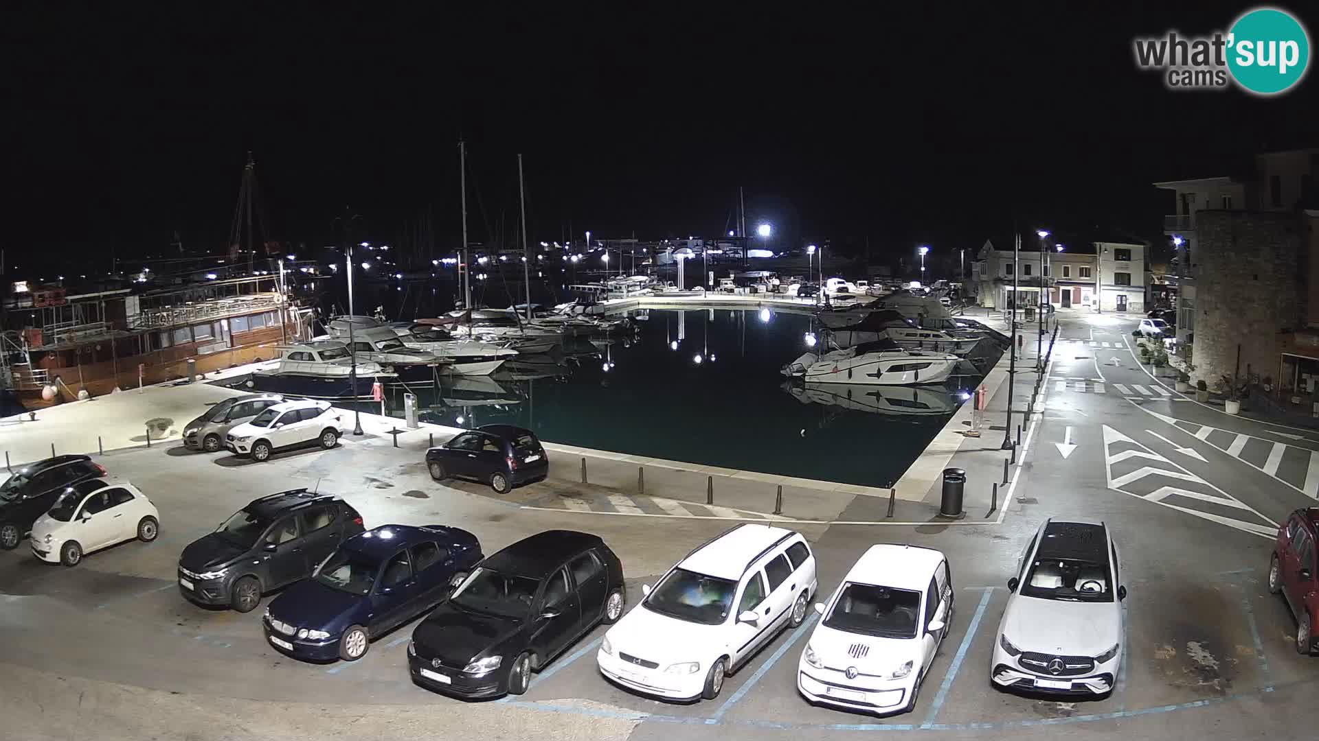 Novigrad | Porporela marina