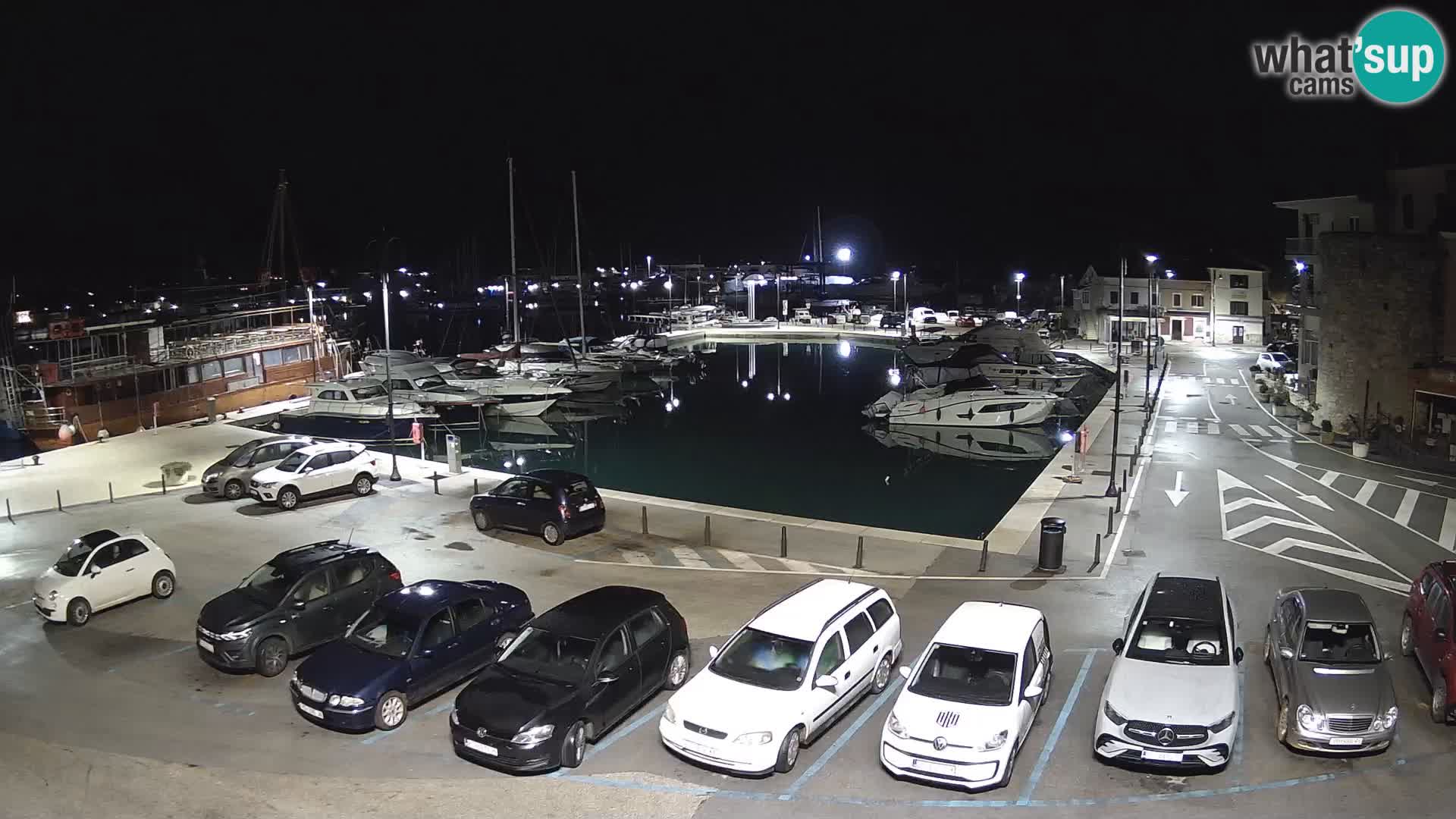 Novigrad | Porporela marina