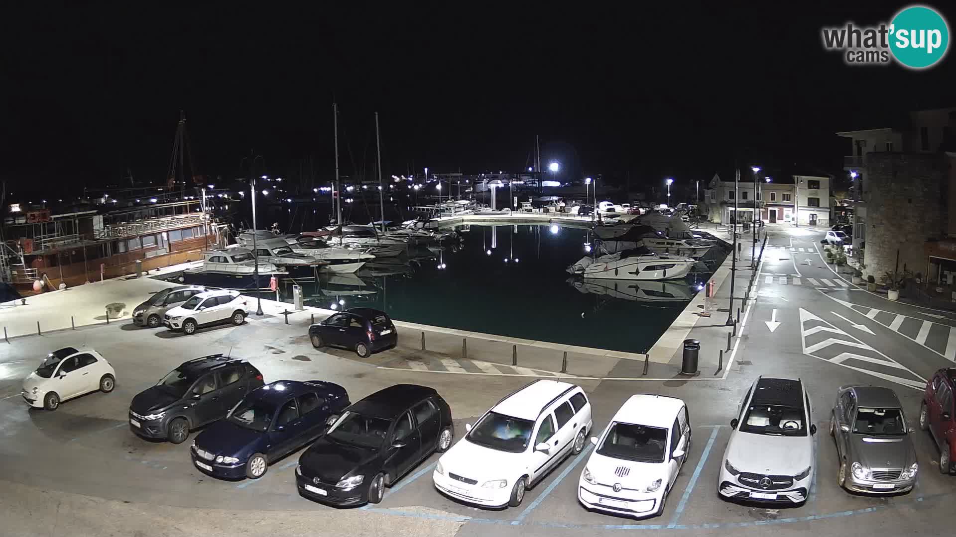 Novigrad | Porporela marina