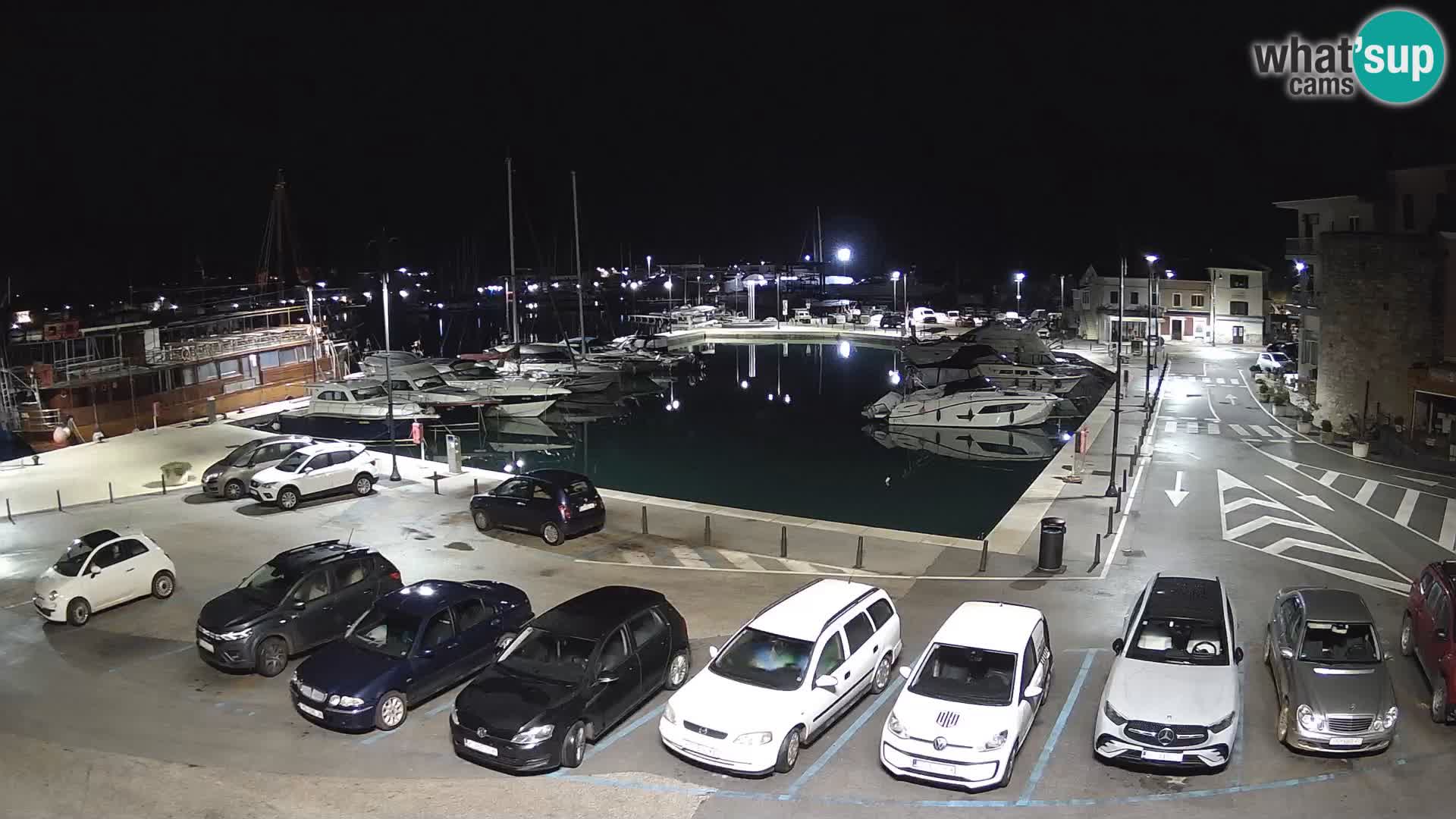 Novigrad | Porporela marina