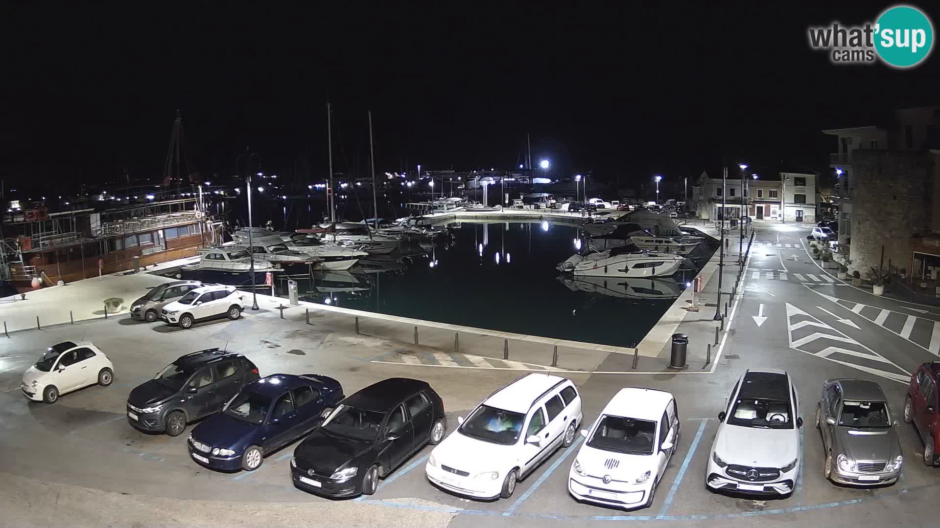 Novigrad | Porporela marina