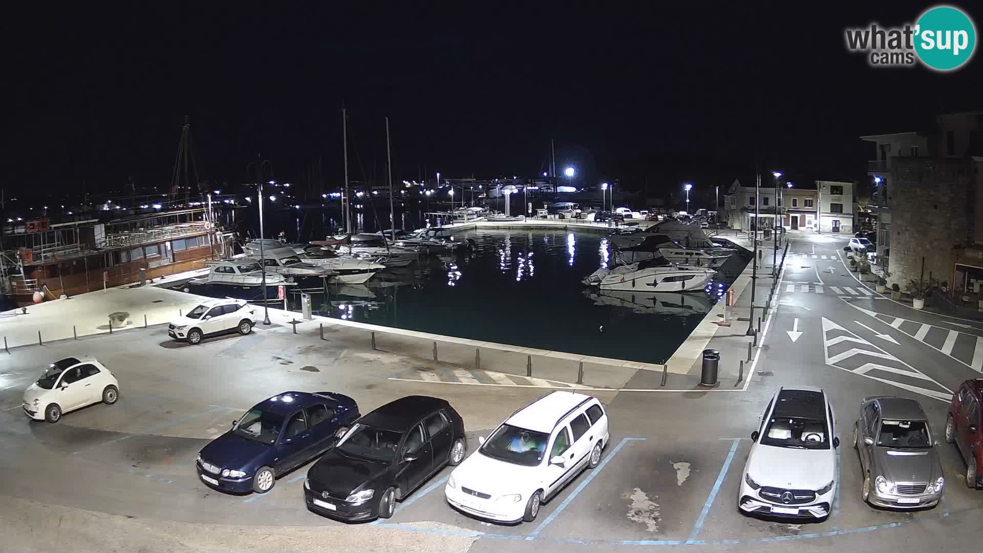 Novigrad | Porporela marina