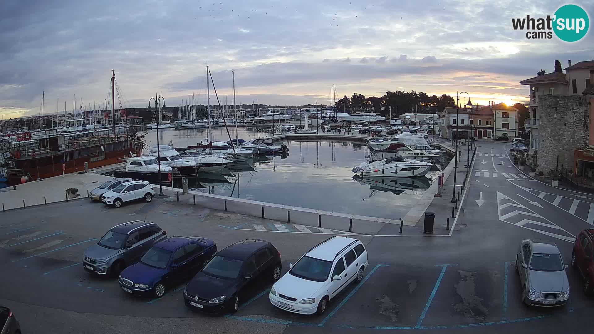 Novigrad | Porporela marina
