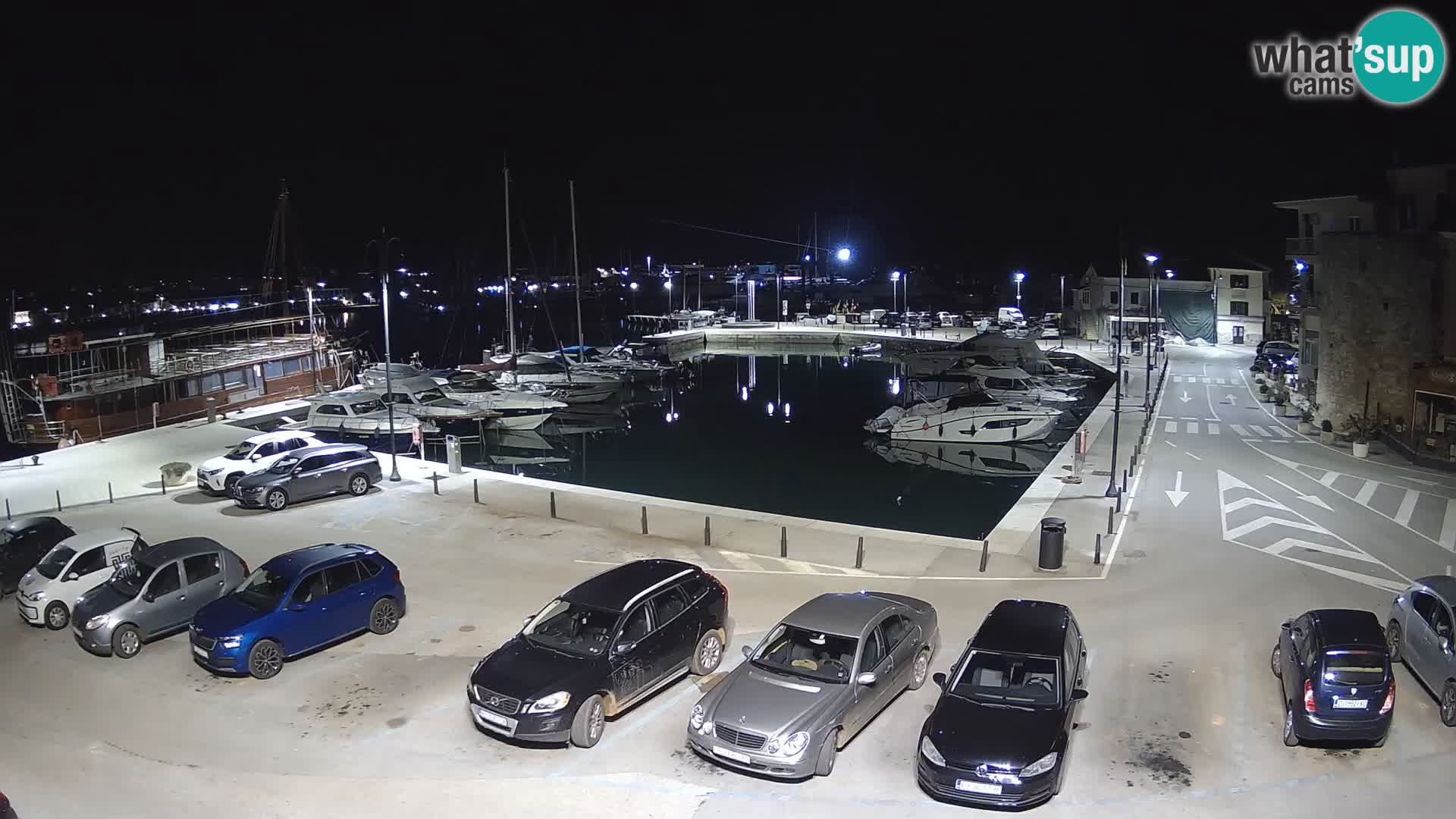 Novigrad | Porporela marina