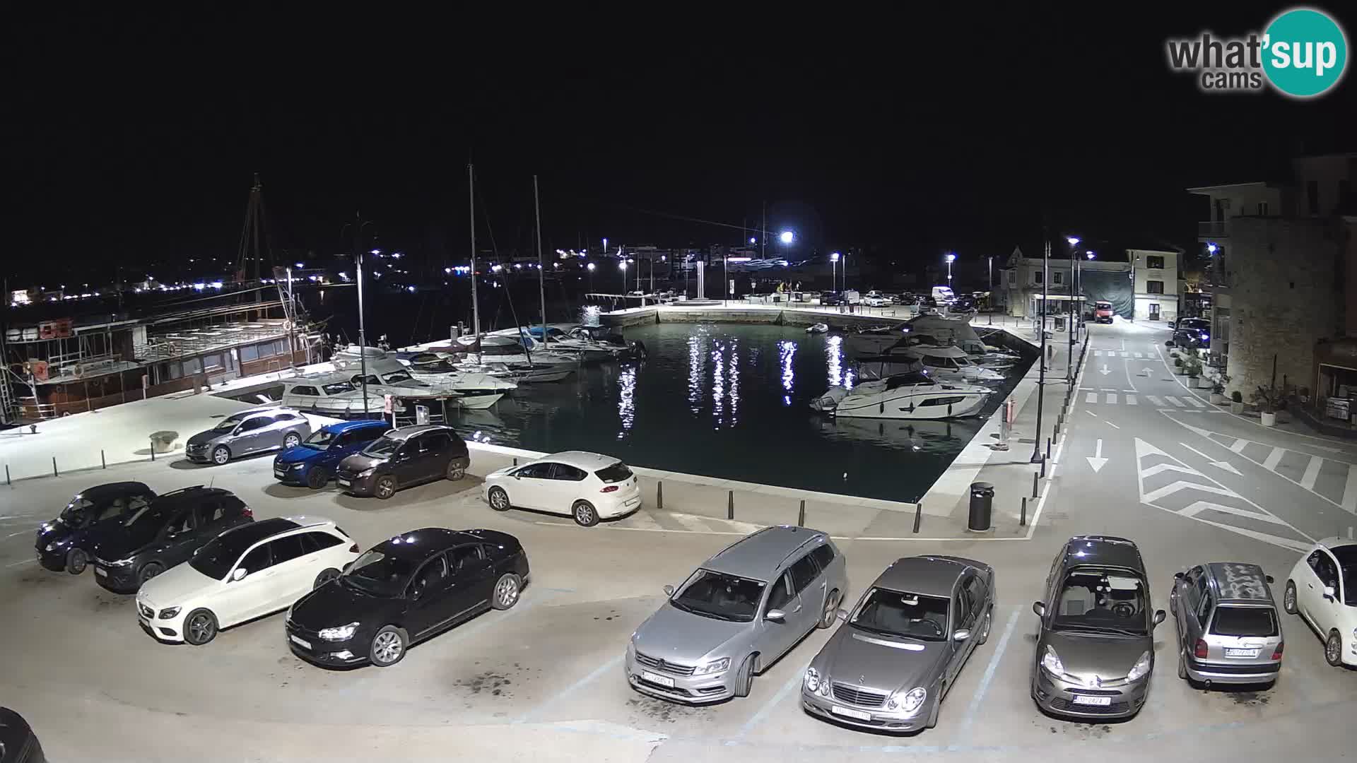 Novigrad | Porporela marina
