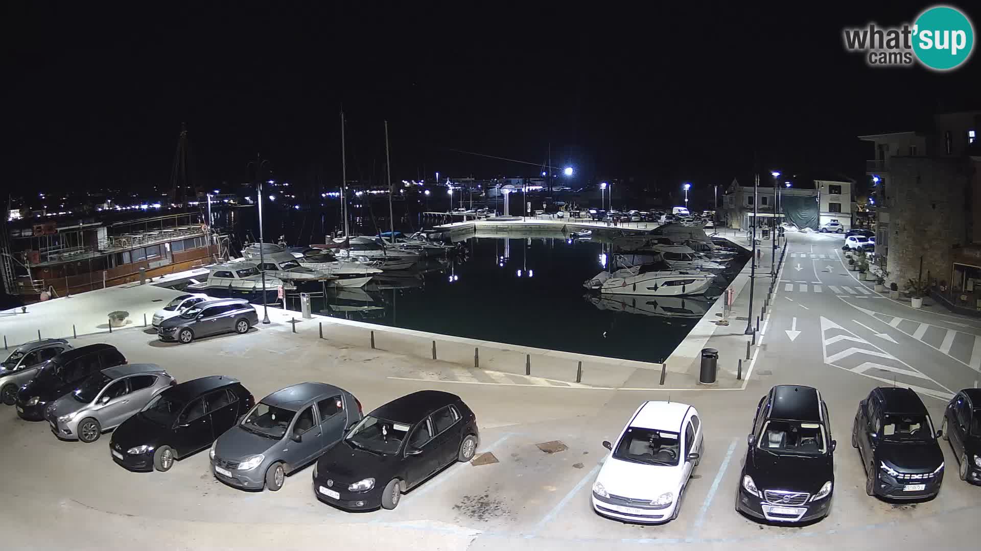 Novigrad | Porporela marina