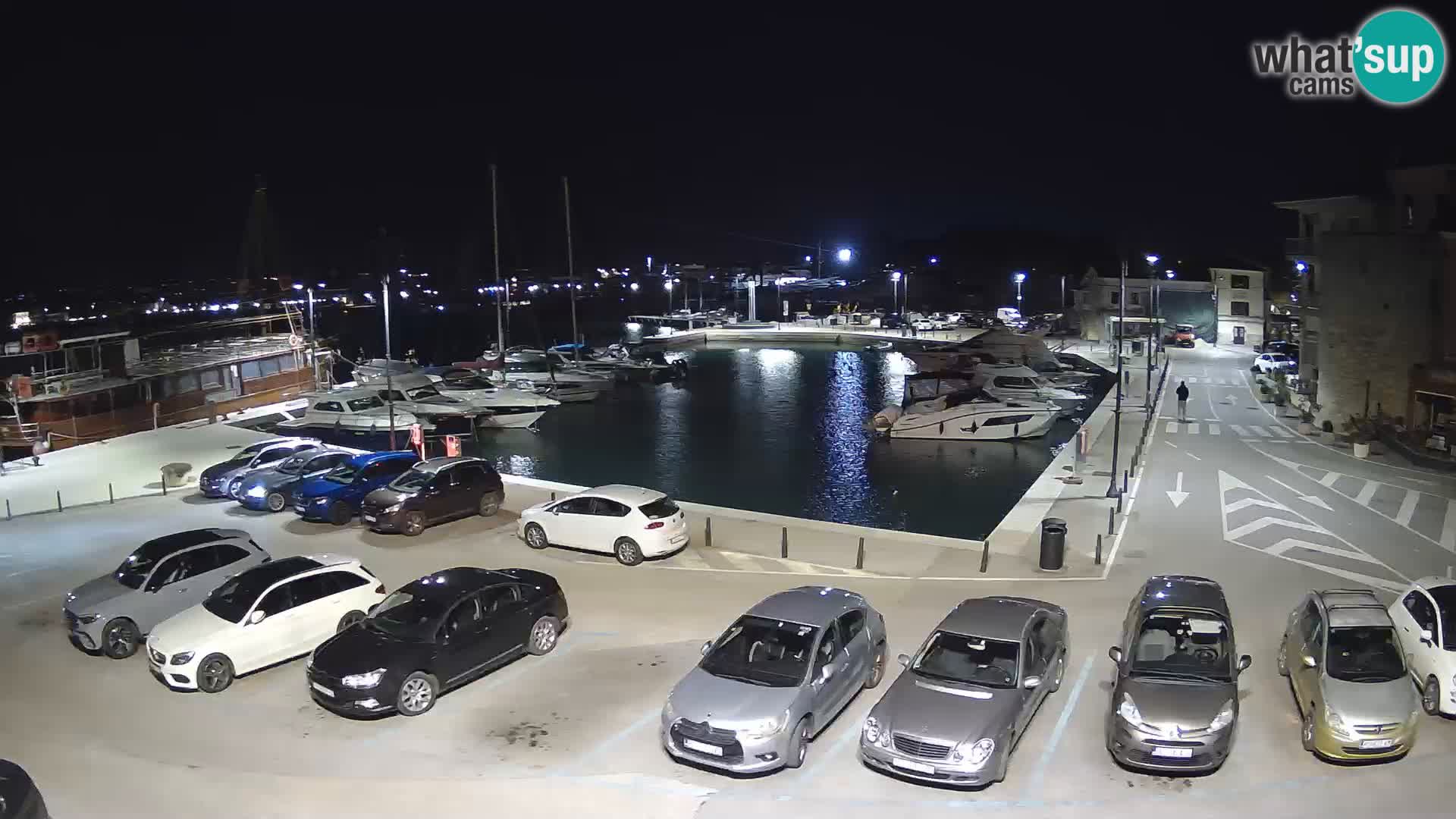 Novigrad | Porporela marina