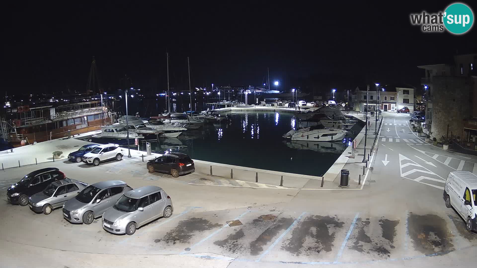 Novigrad | Porporela marina