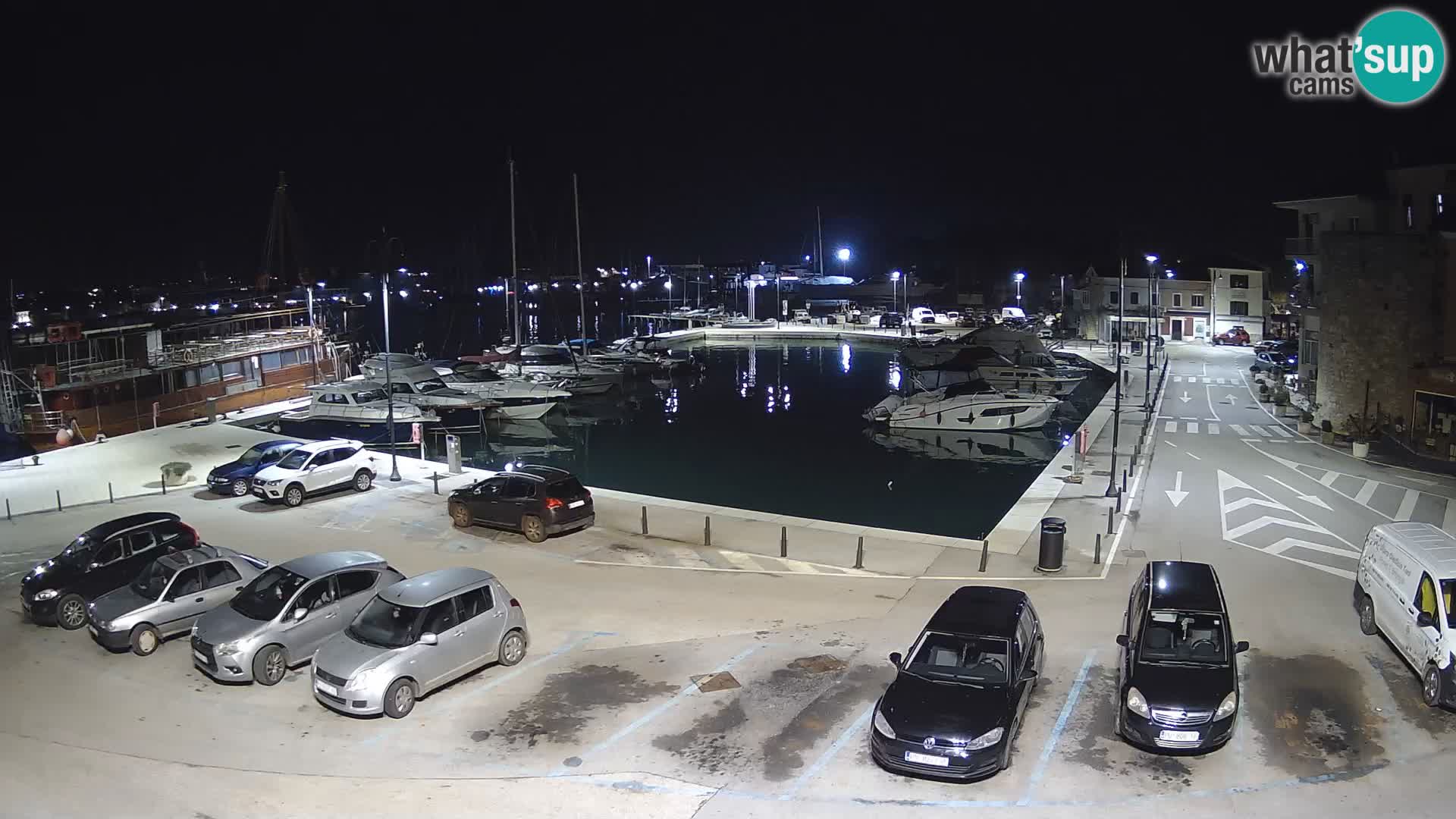Novigrad | Porporela marina