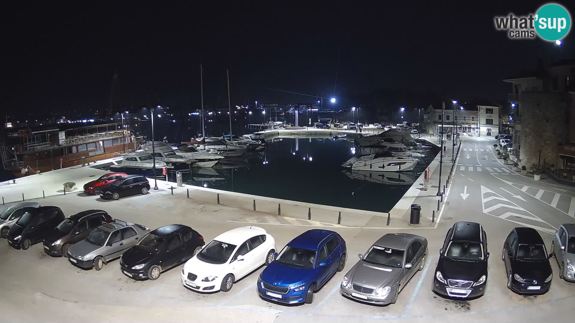 Novigrad | Porporela marina