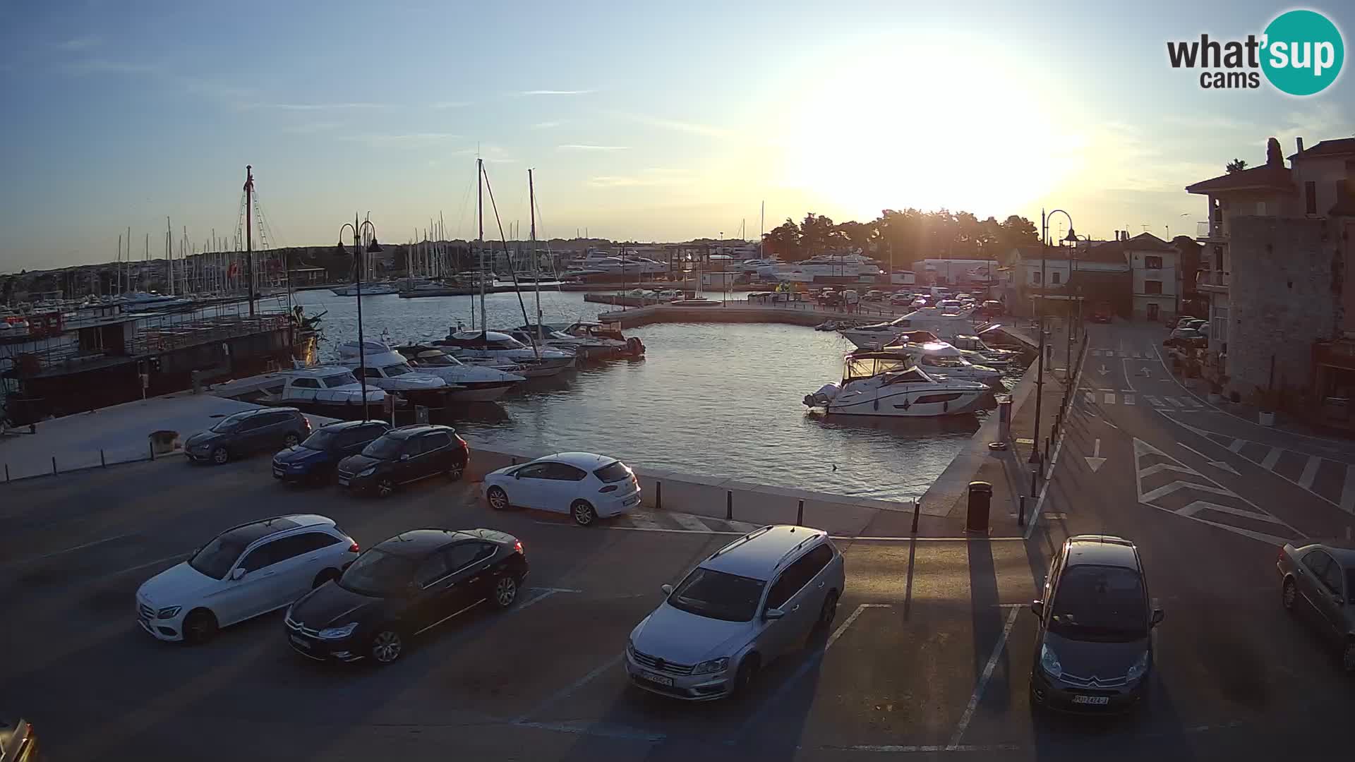 Novigrad | Porporela marina