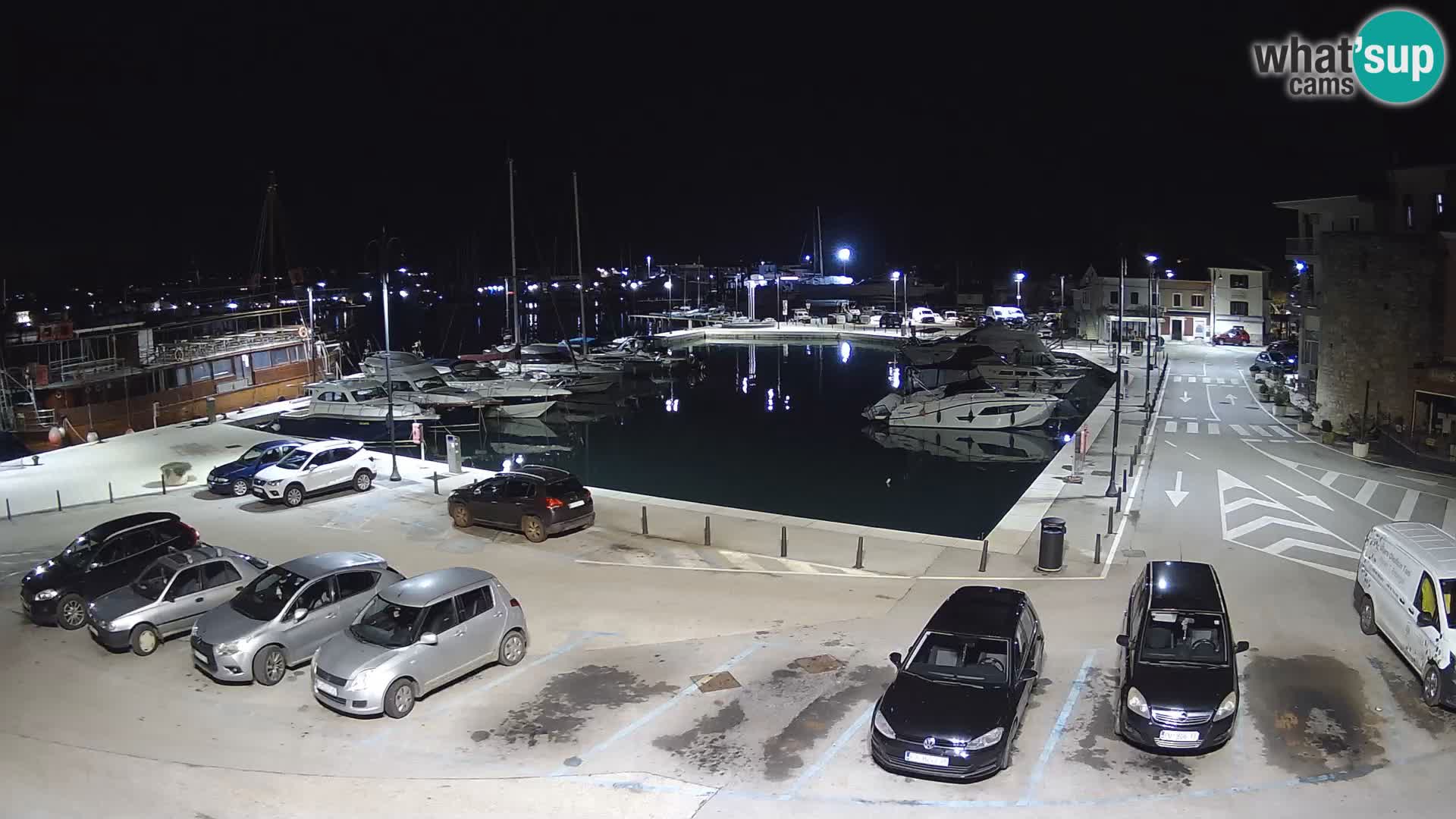 Novigrad | Porporela marina