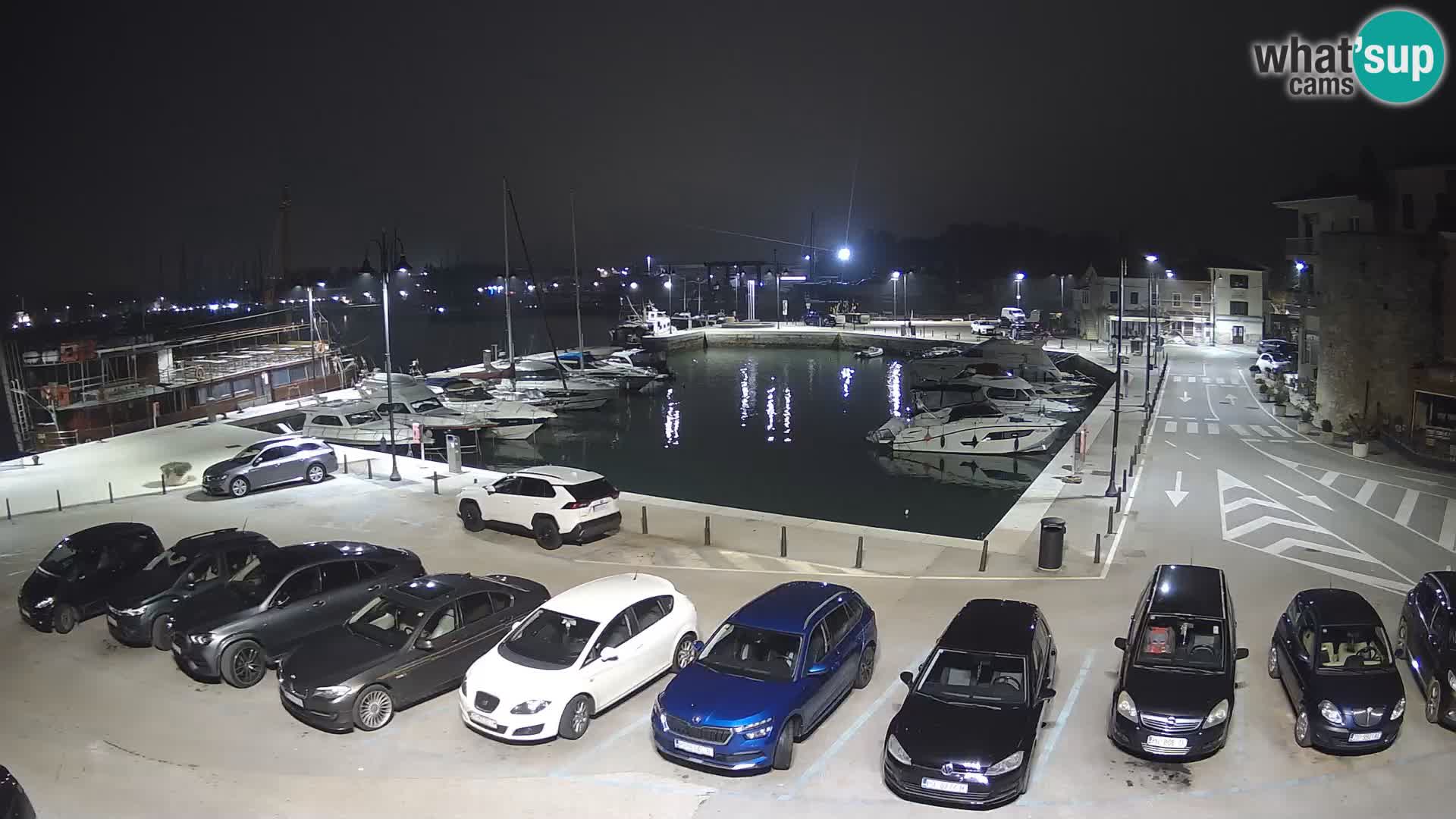 Novigrad | Porporela marina