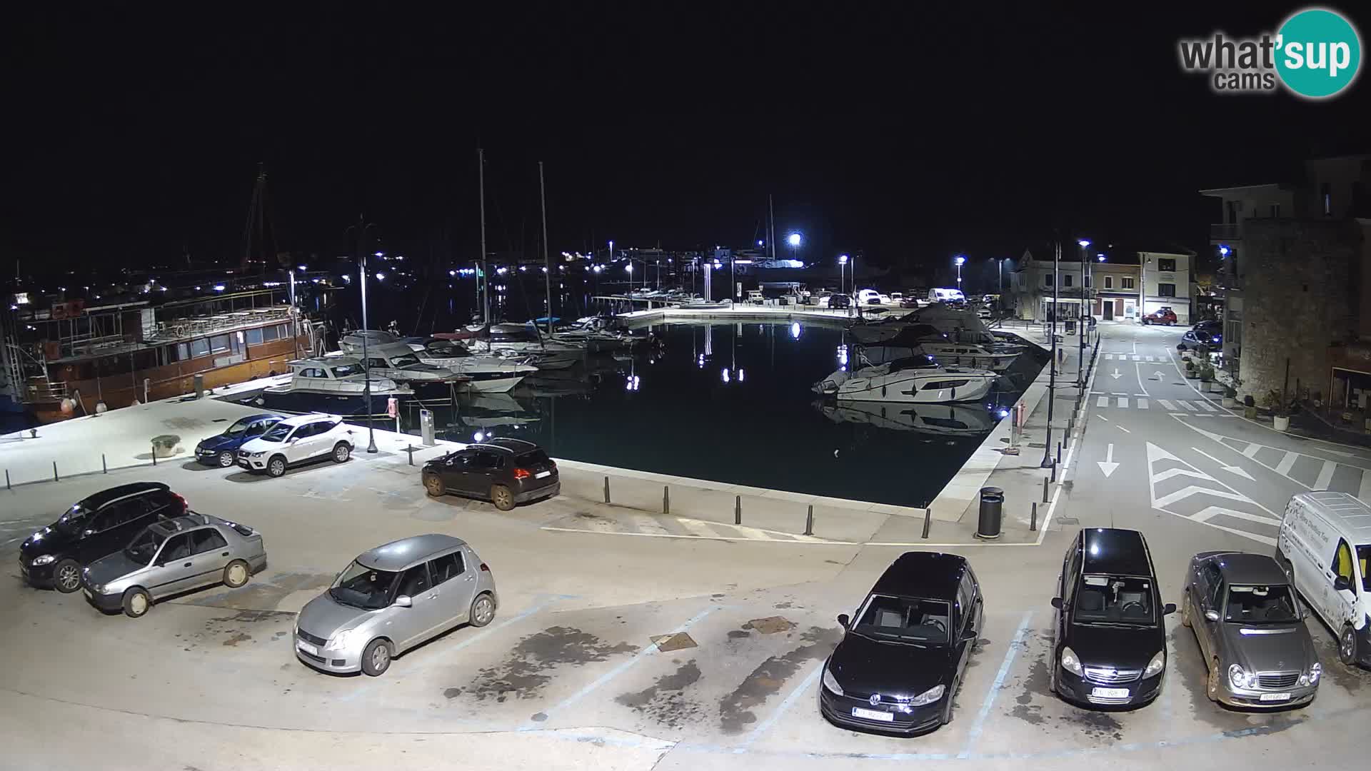 Novigrad | Porporela marina