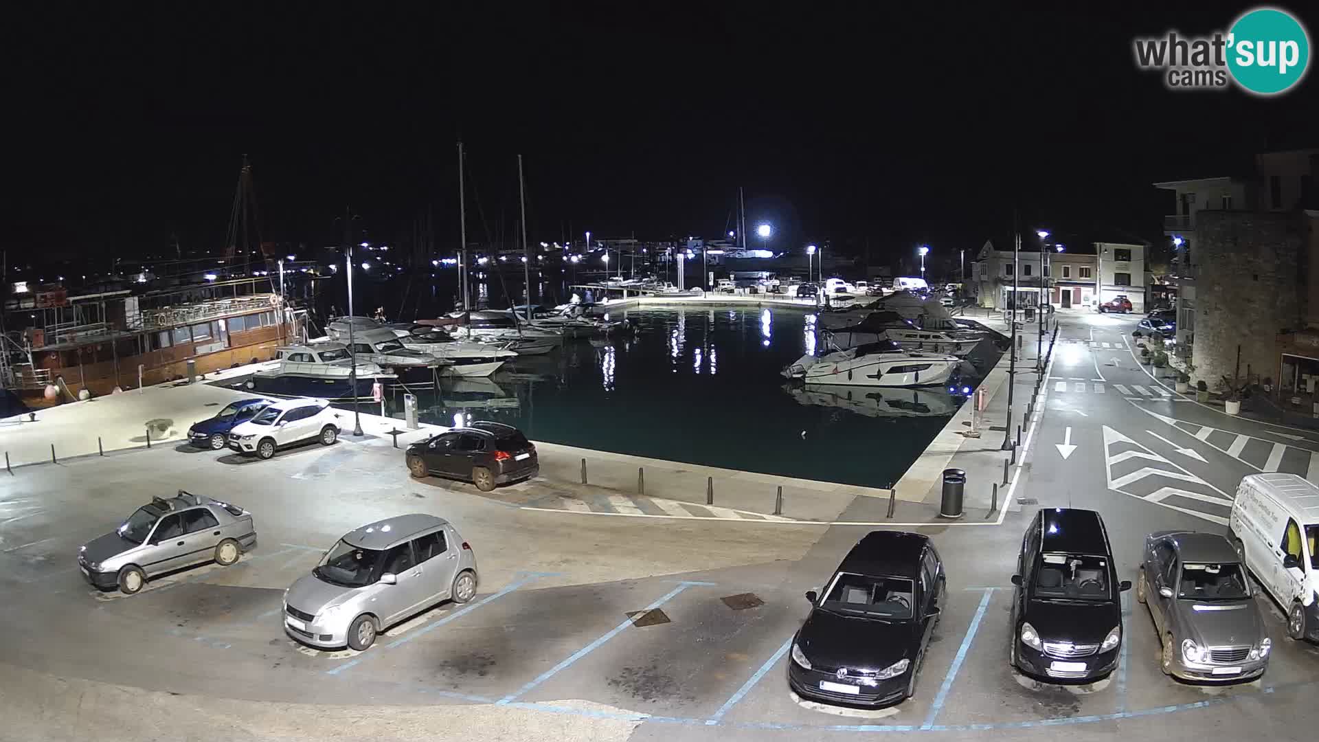 Novigrad | Porporela marina
