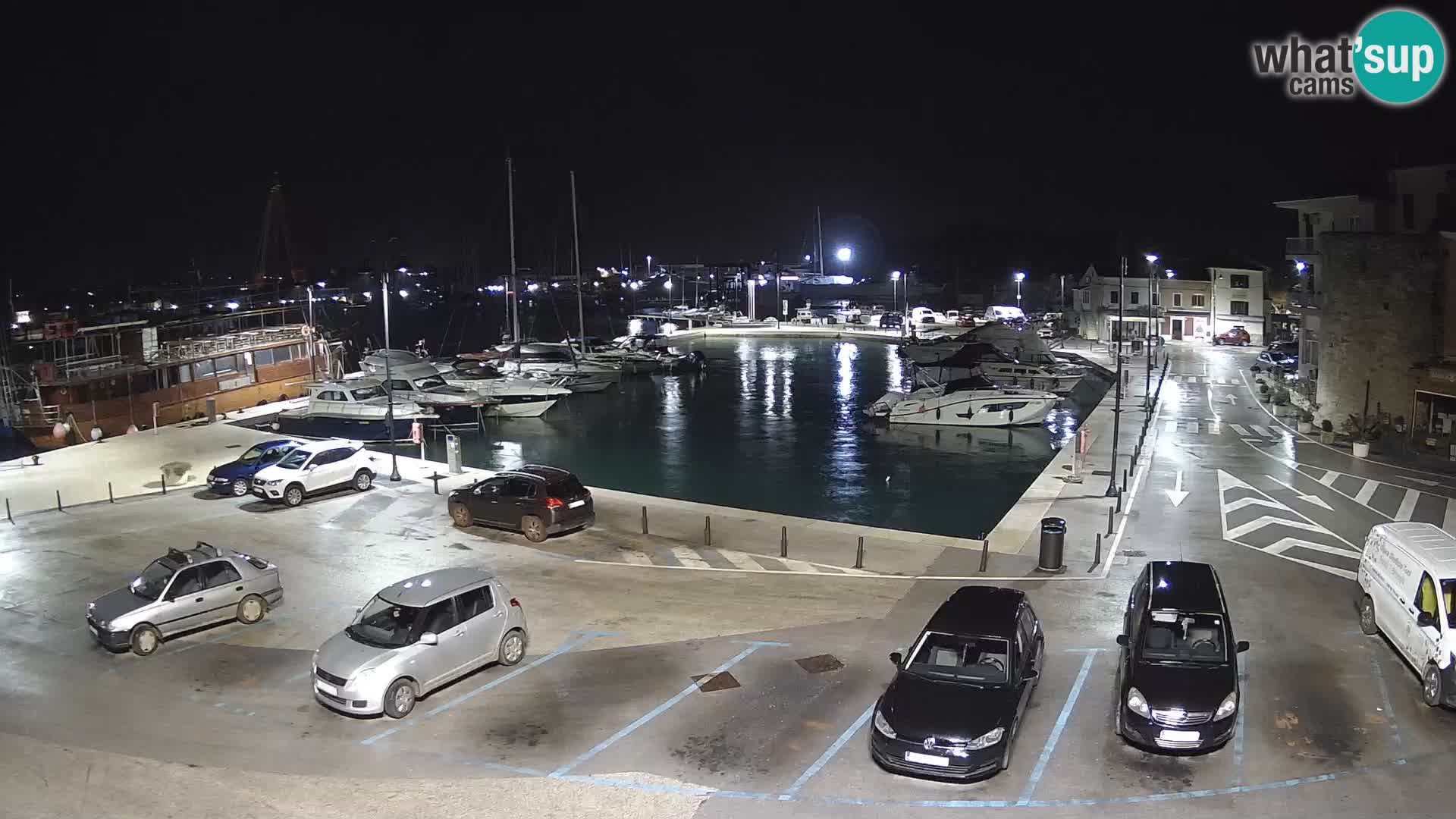 Novigrad | Porporela marina