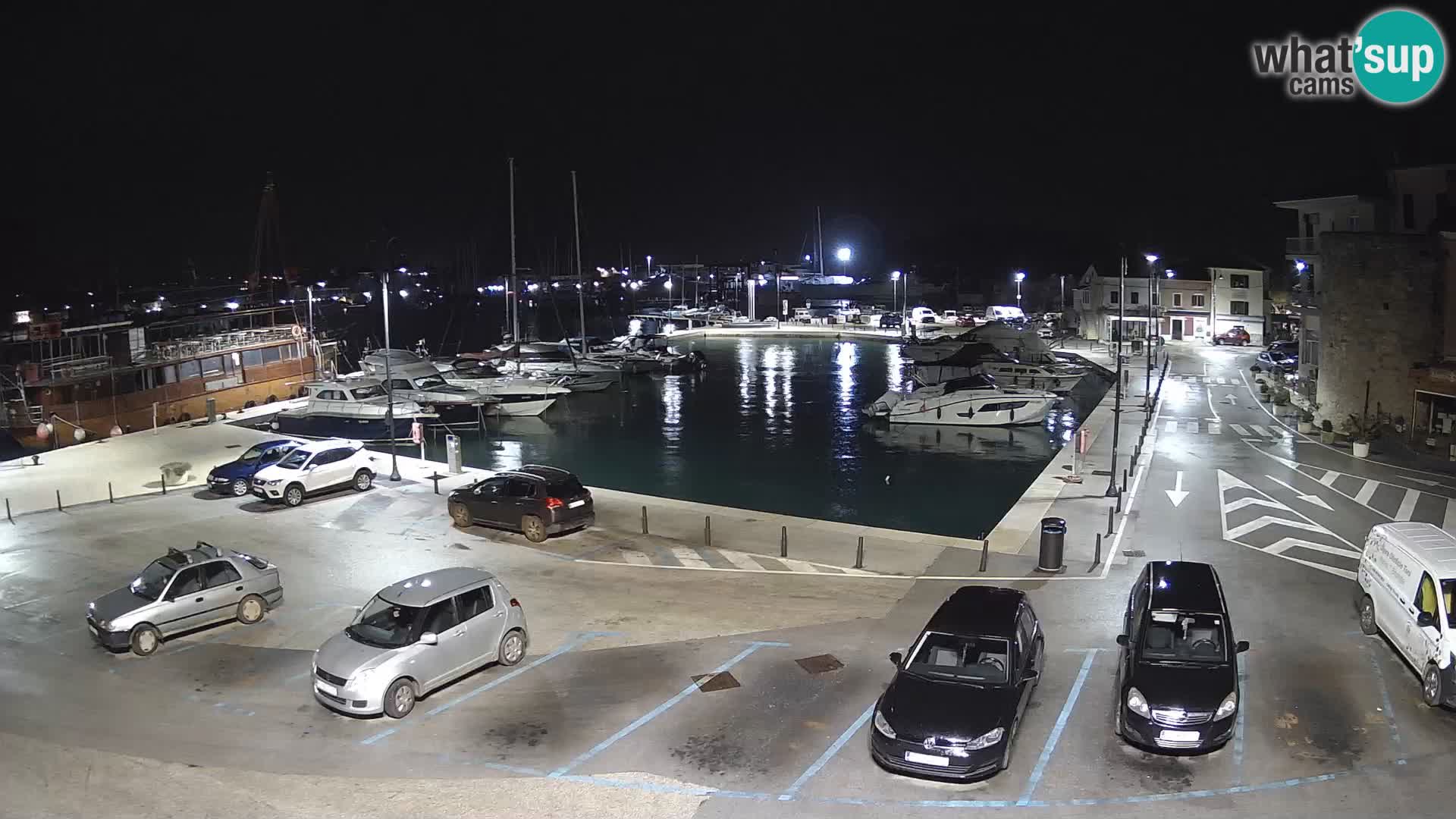 Novigrad | Porporela marina