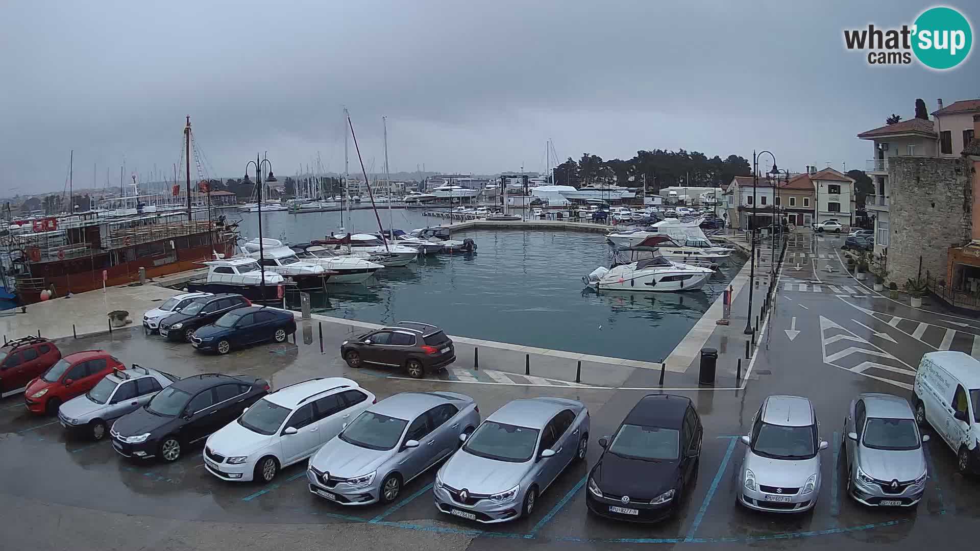 Novigrad | Porporela marina