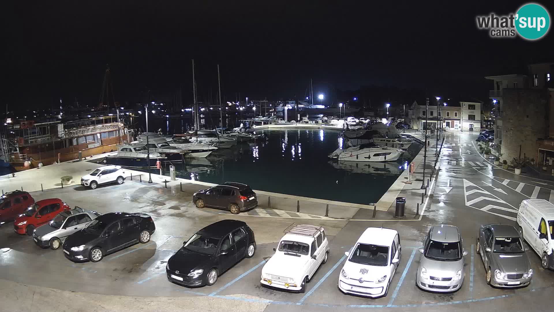 Novigrad | Porporela marina