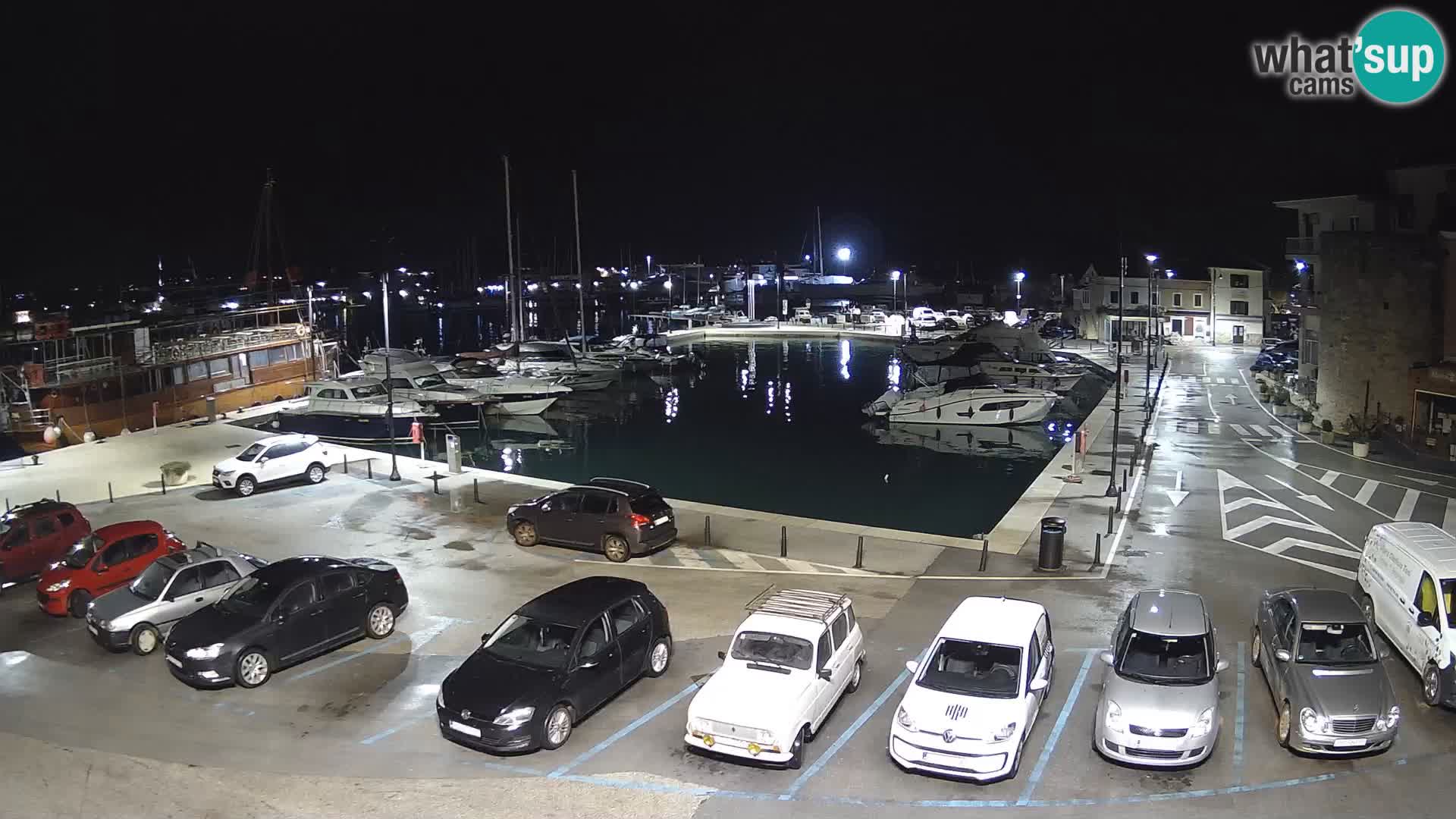 Novigrad | Porporela marina