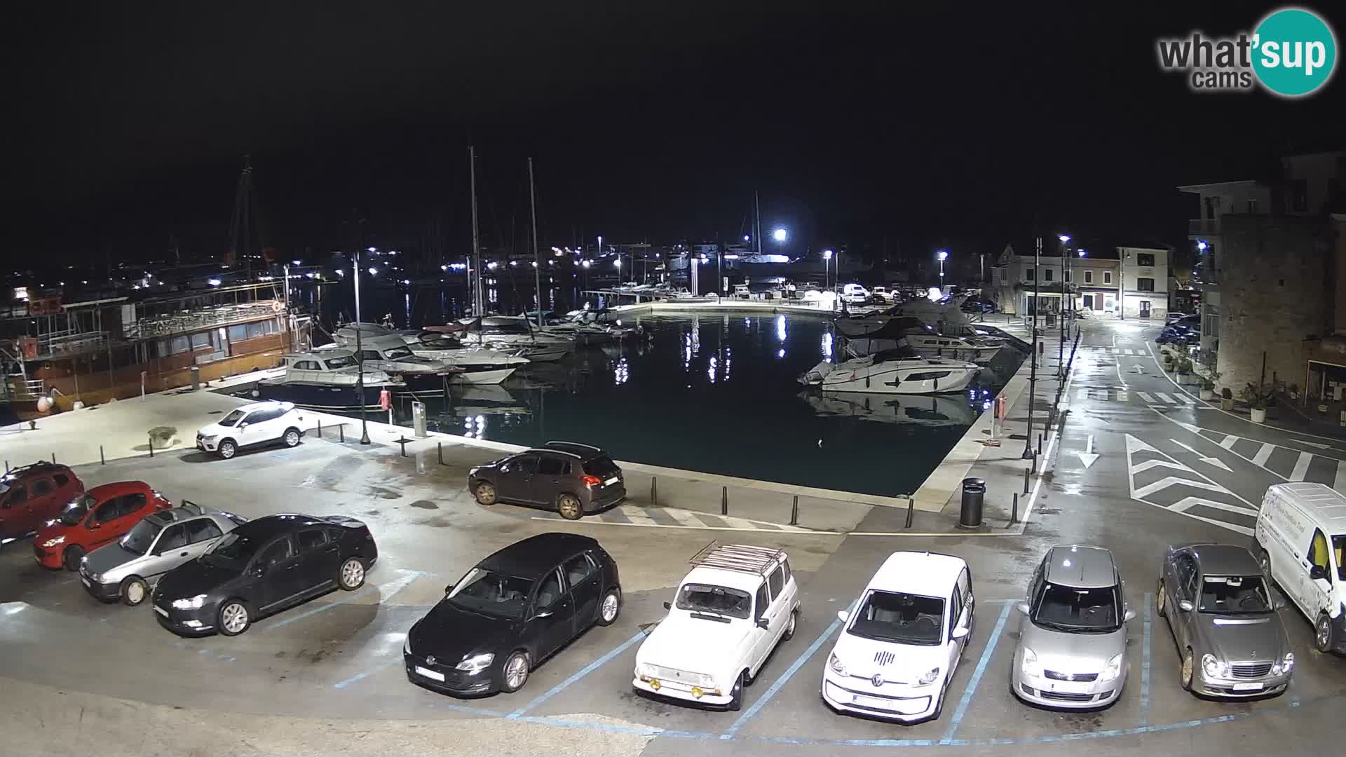 Novigrad | Porporela marina