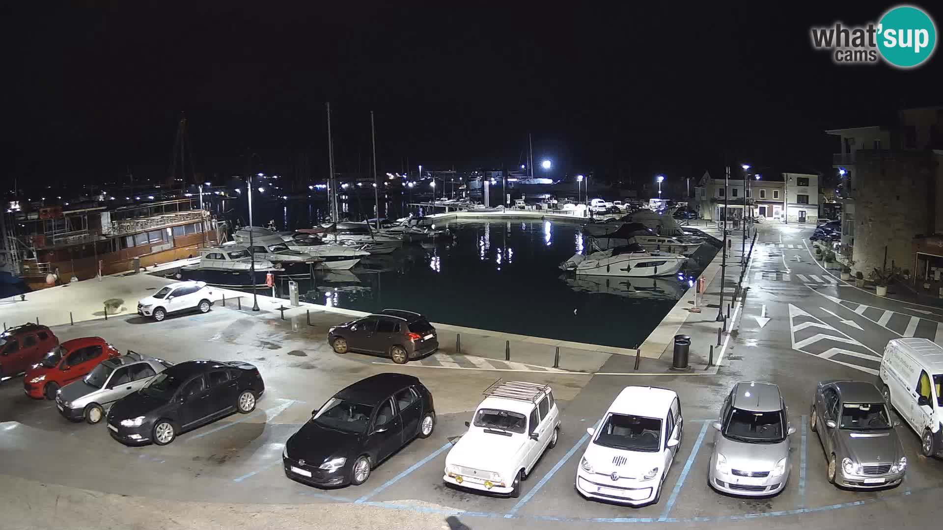 Novigrad | Porporela marina